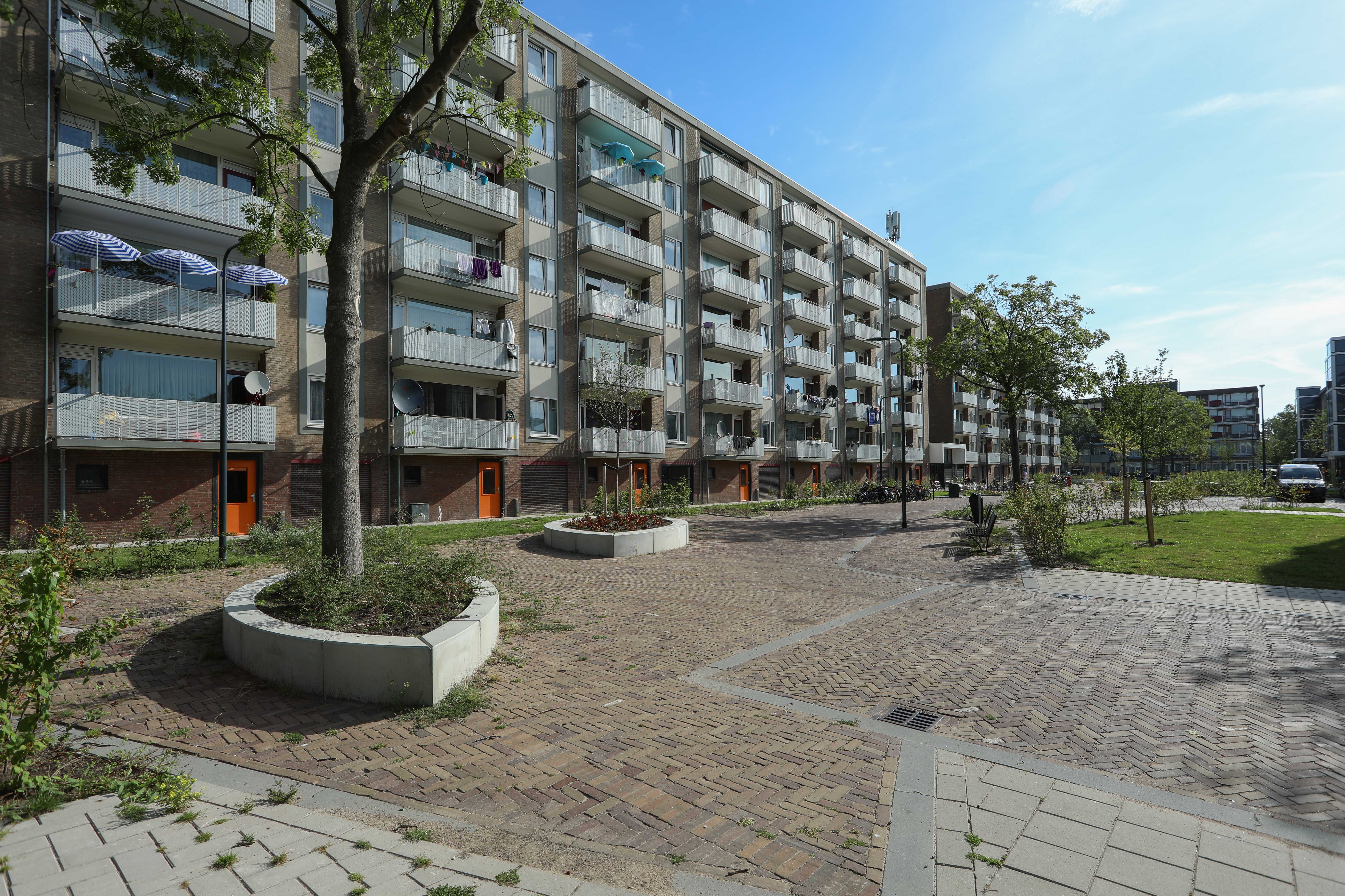 Jan Evertsenlaan 315