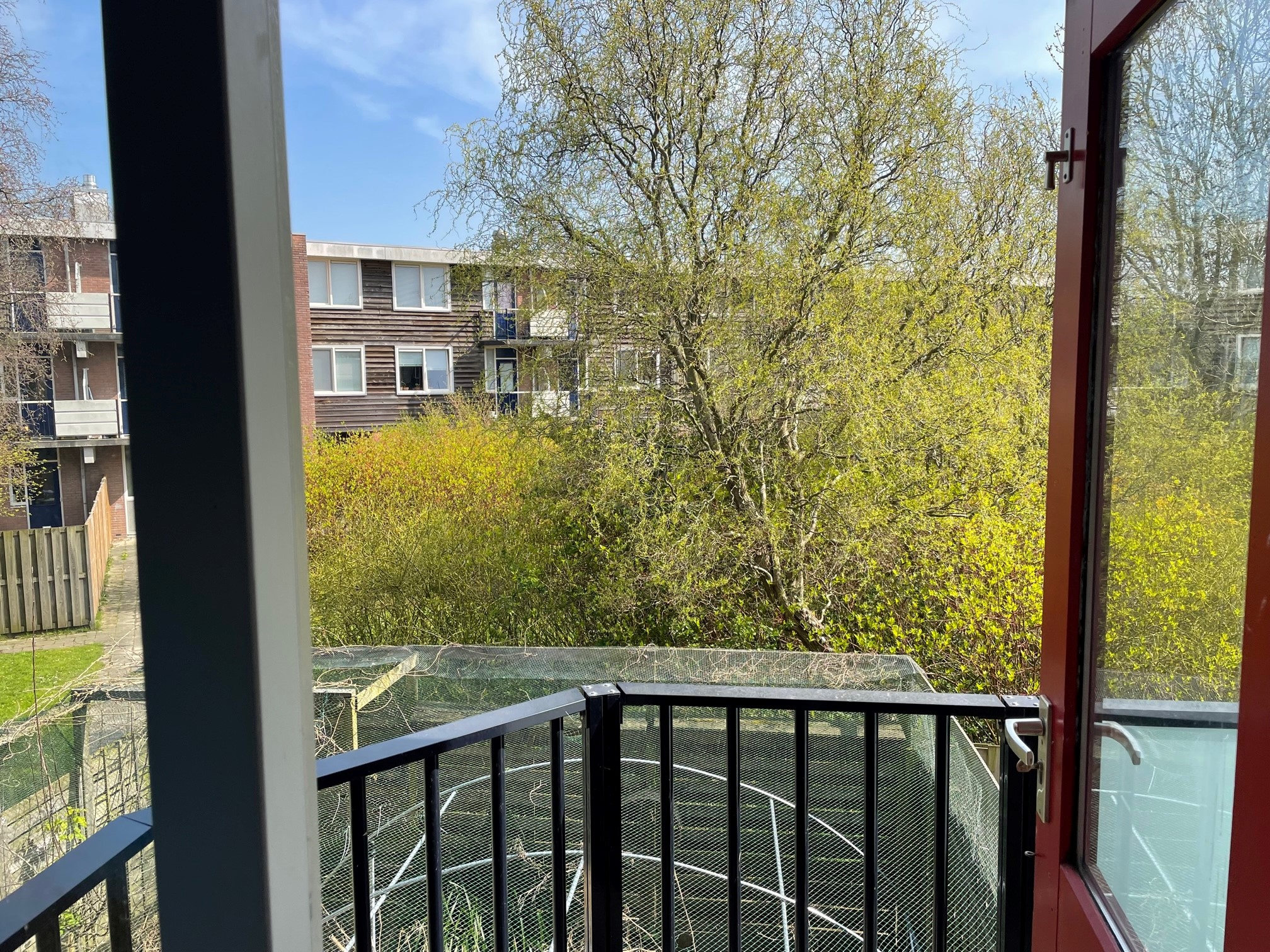 Aletta Jacobsplantsoen 66