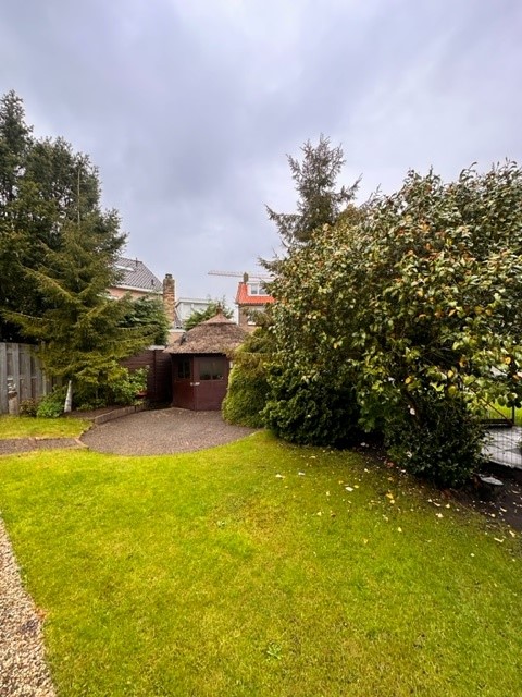 Witte de Withstraat 17