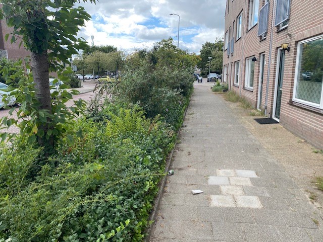 Koninklijke Marinelaan 77