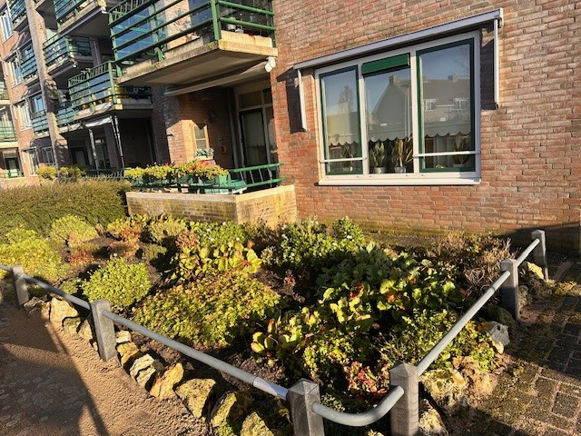 Irenestraat 2, 2161 PZ Lisse, Nederland