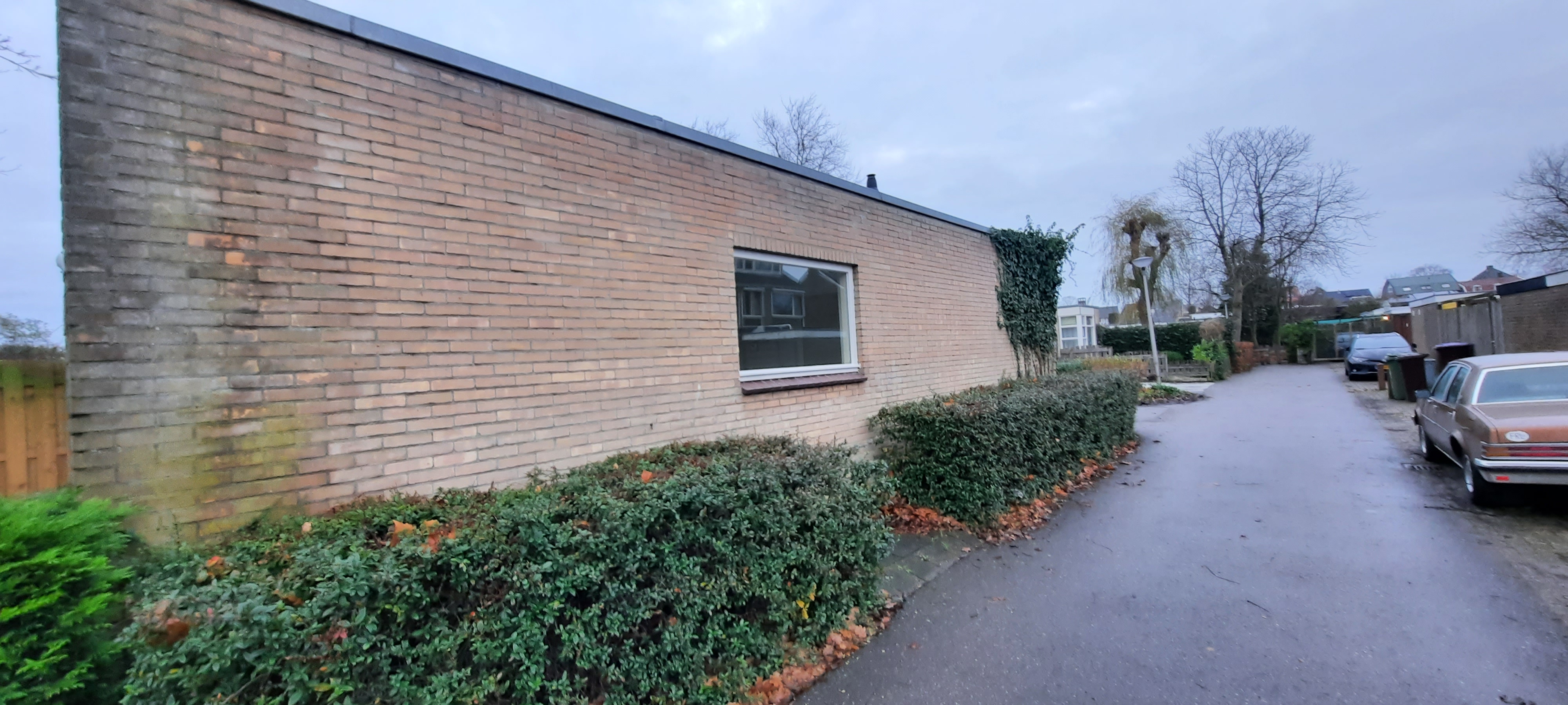 Oem van Wijngaarden 3