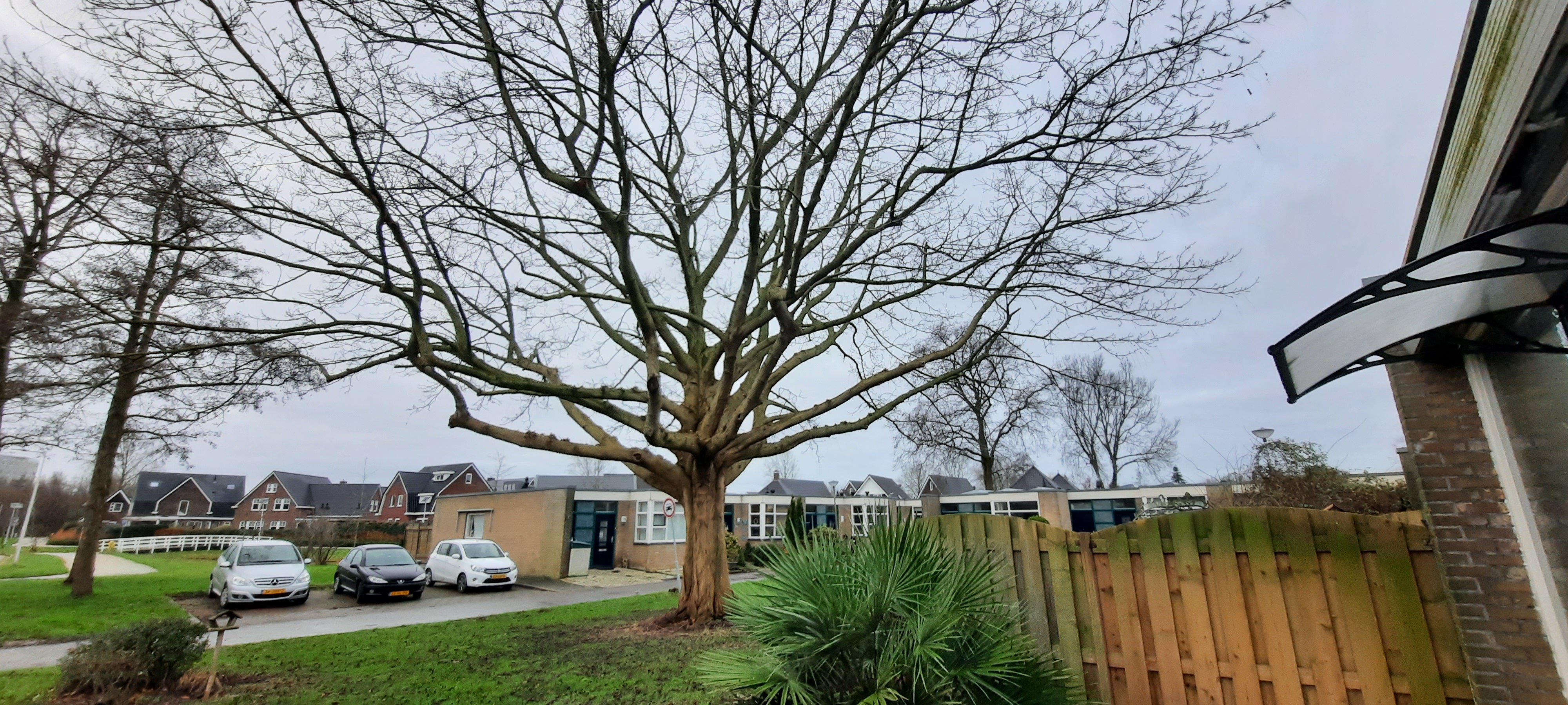 Oem van Wijngaarden 3