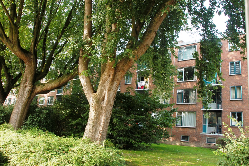 Eikenlaan 199, 2404 BP Alphen aan den Rijn, Nederland