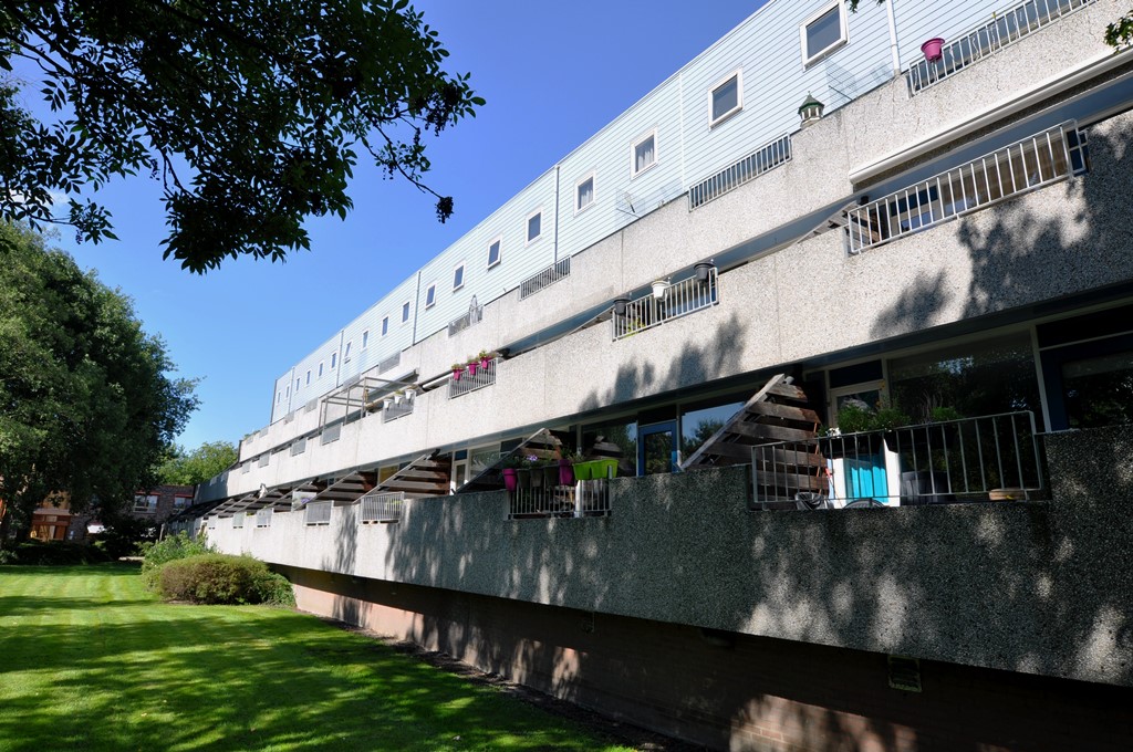 Aardster 135, 2403 RM Alphen aan den Rijn, Nederland