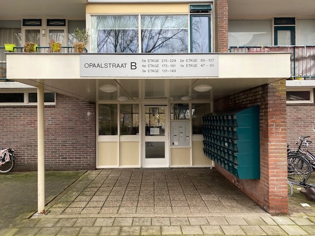 Opaalstraat 99, 2332 TA Leiden, Nederland