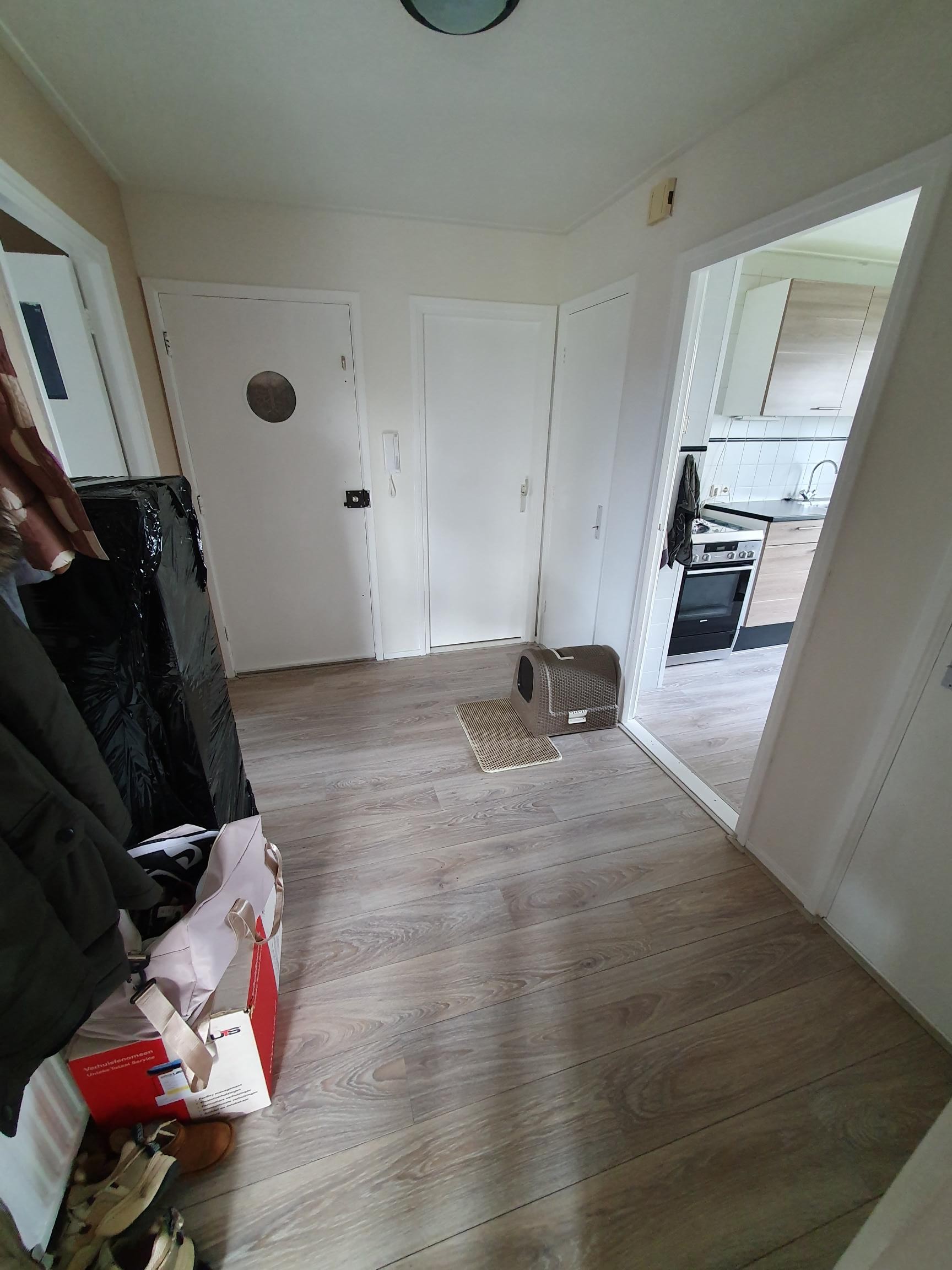 Richard Holstraat 52