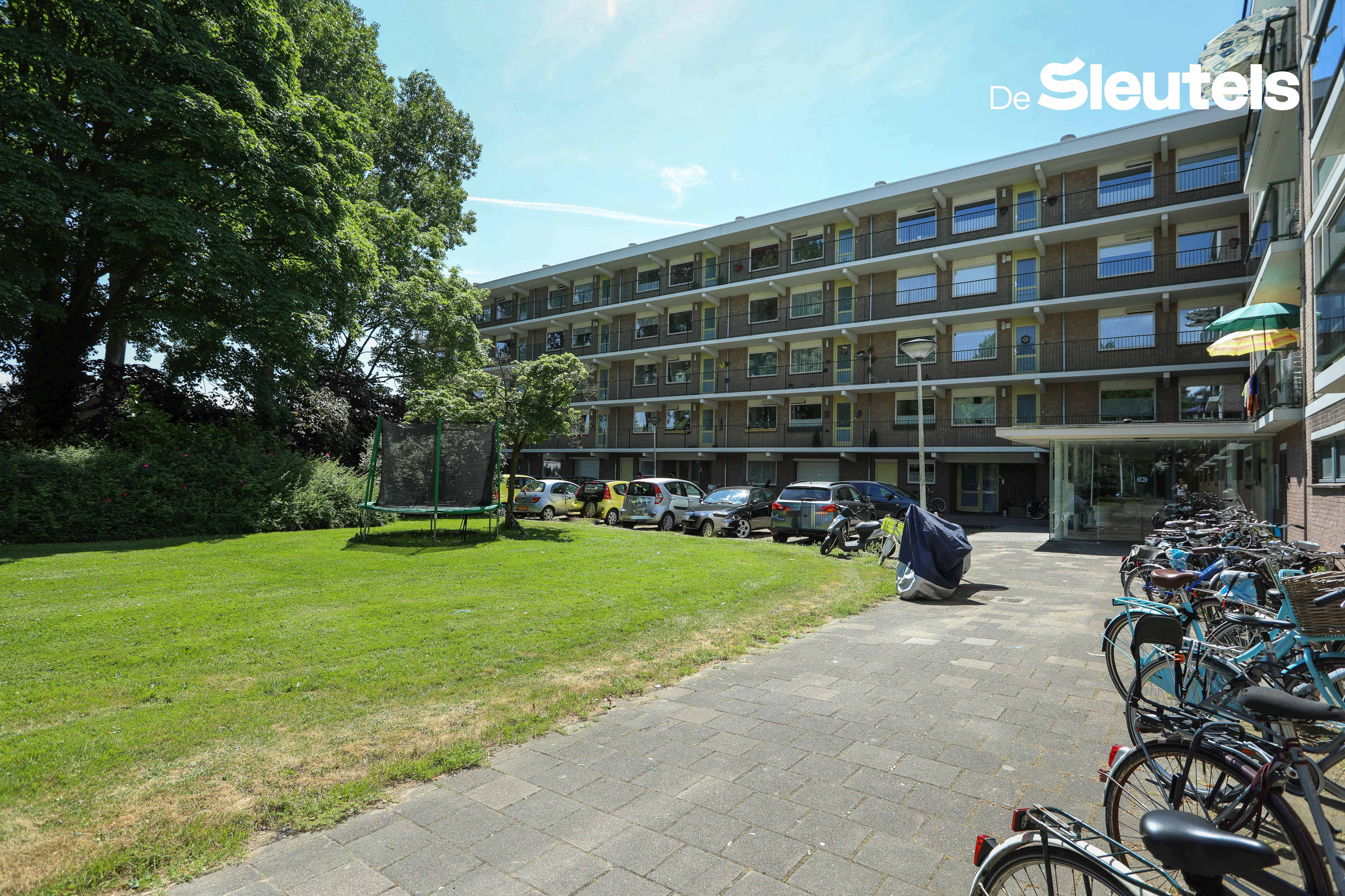 Castellumweg 12, 2314 TZ Leiden, Nederland