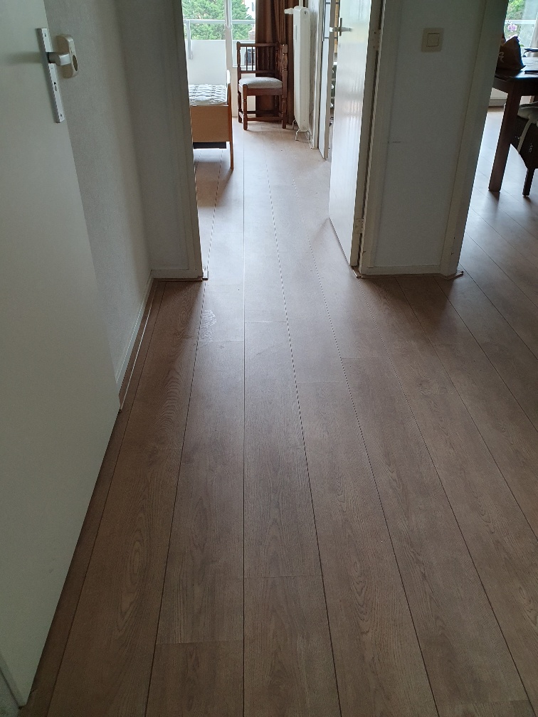 Bizetpad 77, 2324 JV Leiden, Nederland