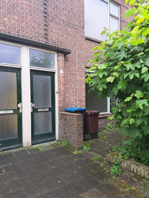 Pioenstraat 9