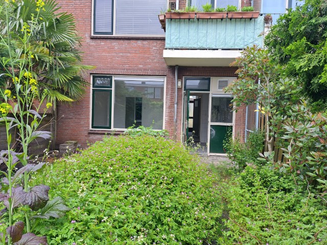 Pioenstraat 9