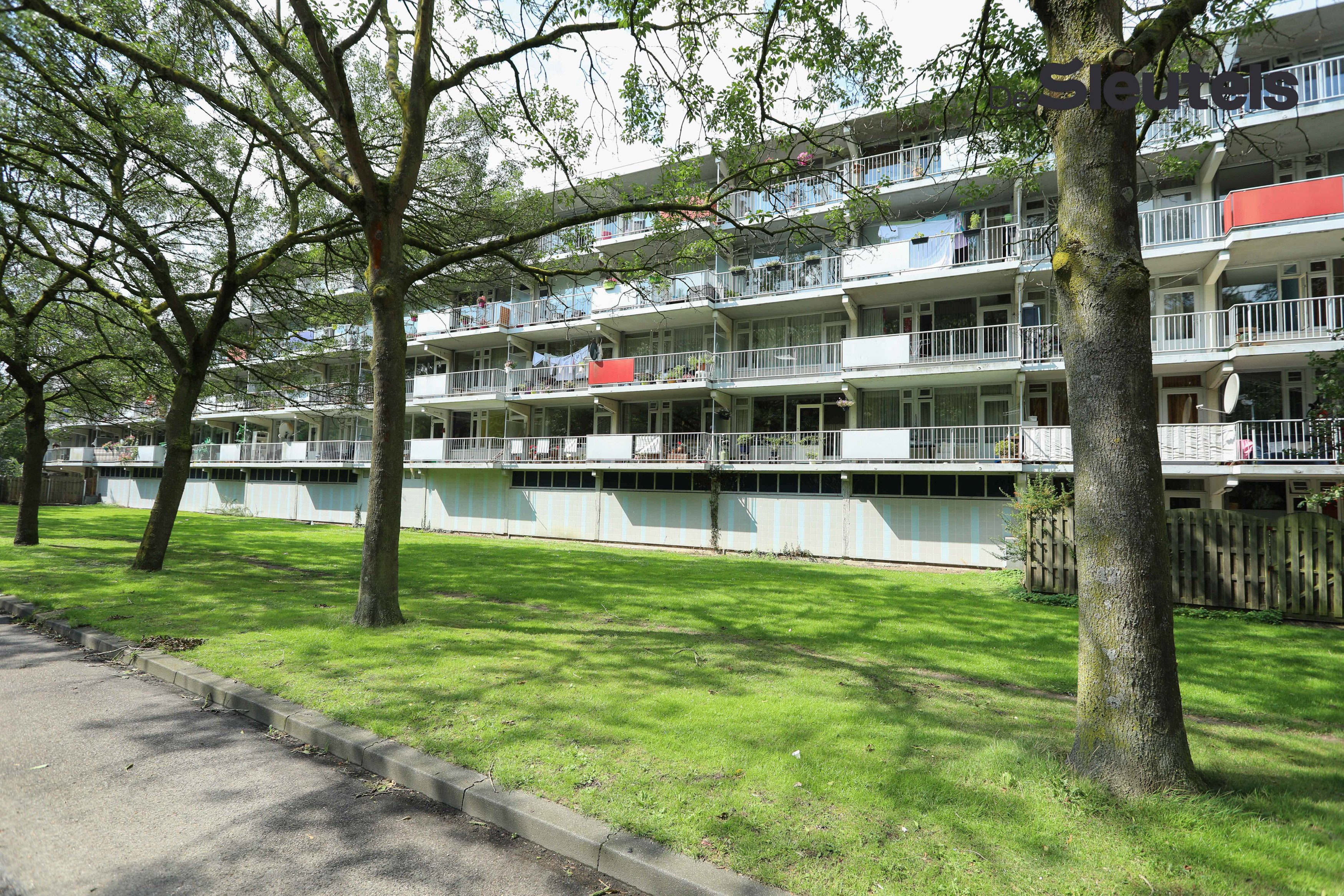 Milanenhorst 154, 2317 CH Leiden, Nederland