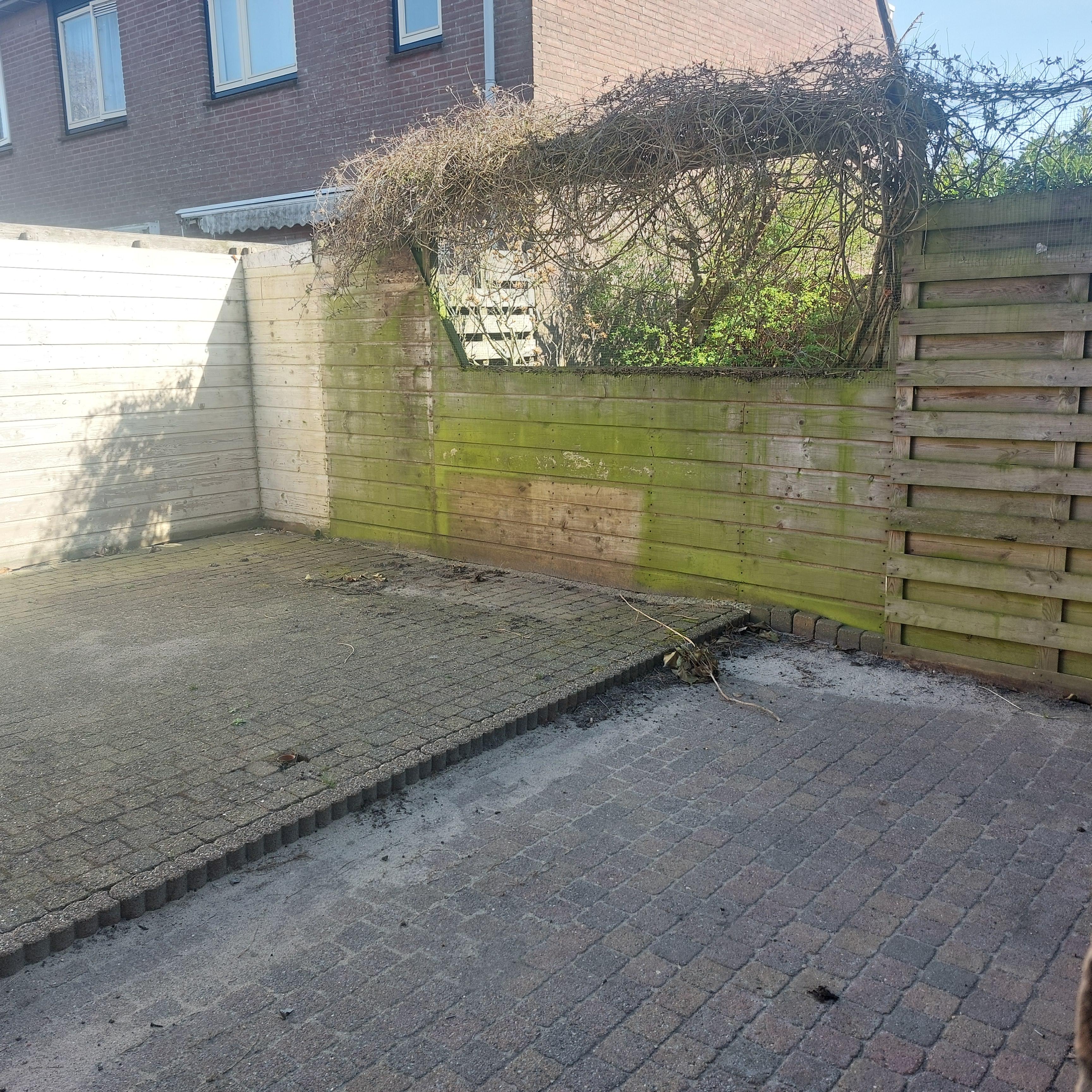 Elise van Calcarstraat 5