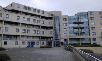 Zonnebloemstraat 174