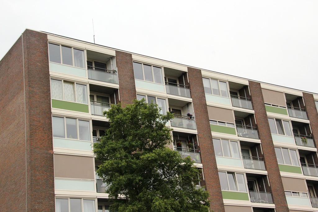 Anna van Burenlaan 225