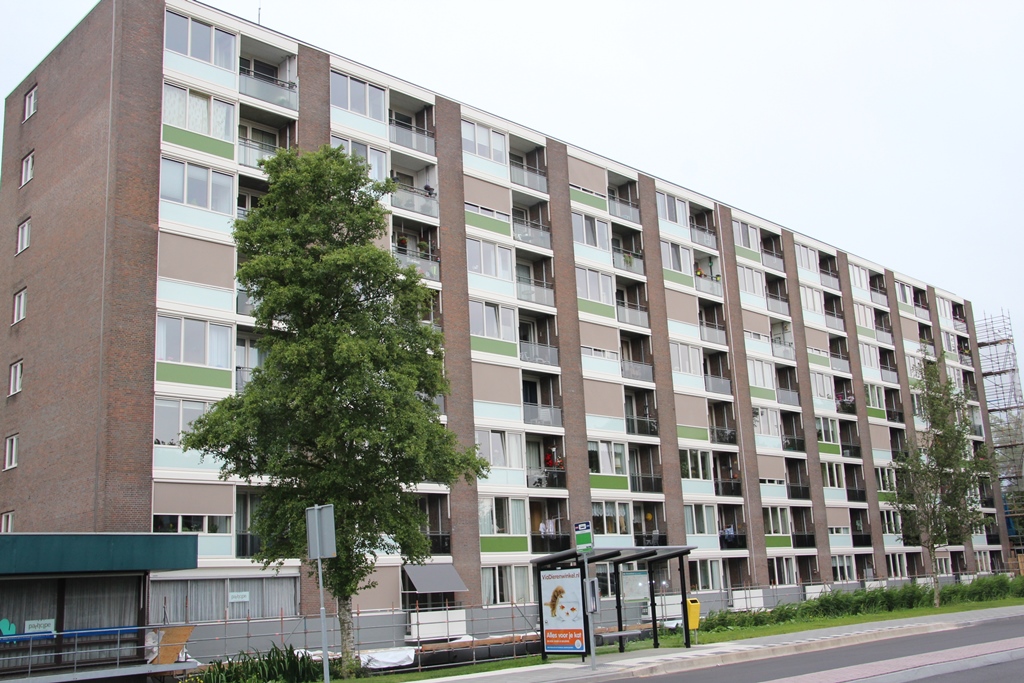 Anna van Burenlaan 823