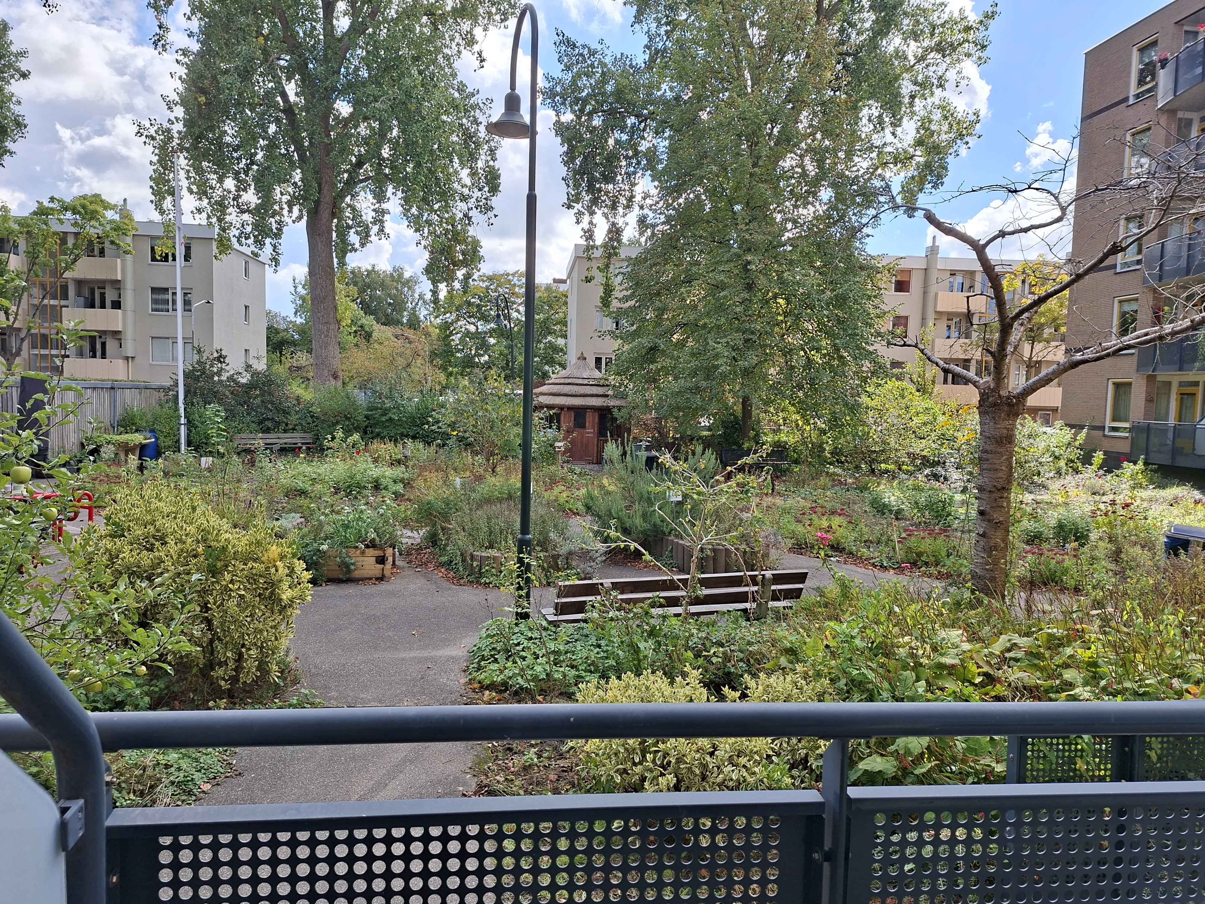 Aaltje Noordewierlaan 66