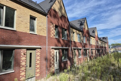 Peterseliewortel 6-A