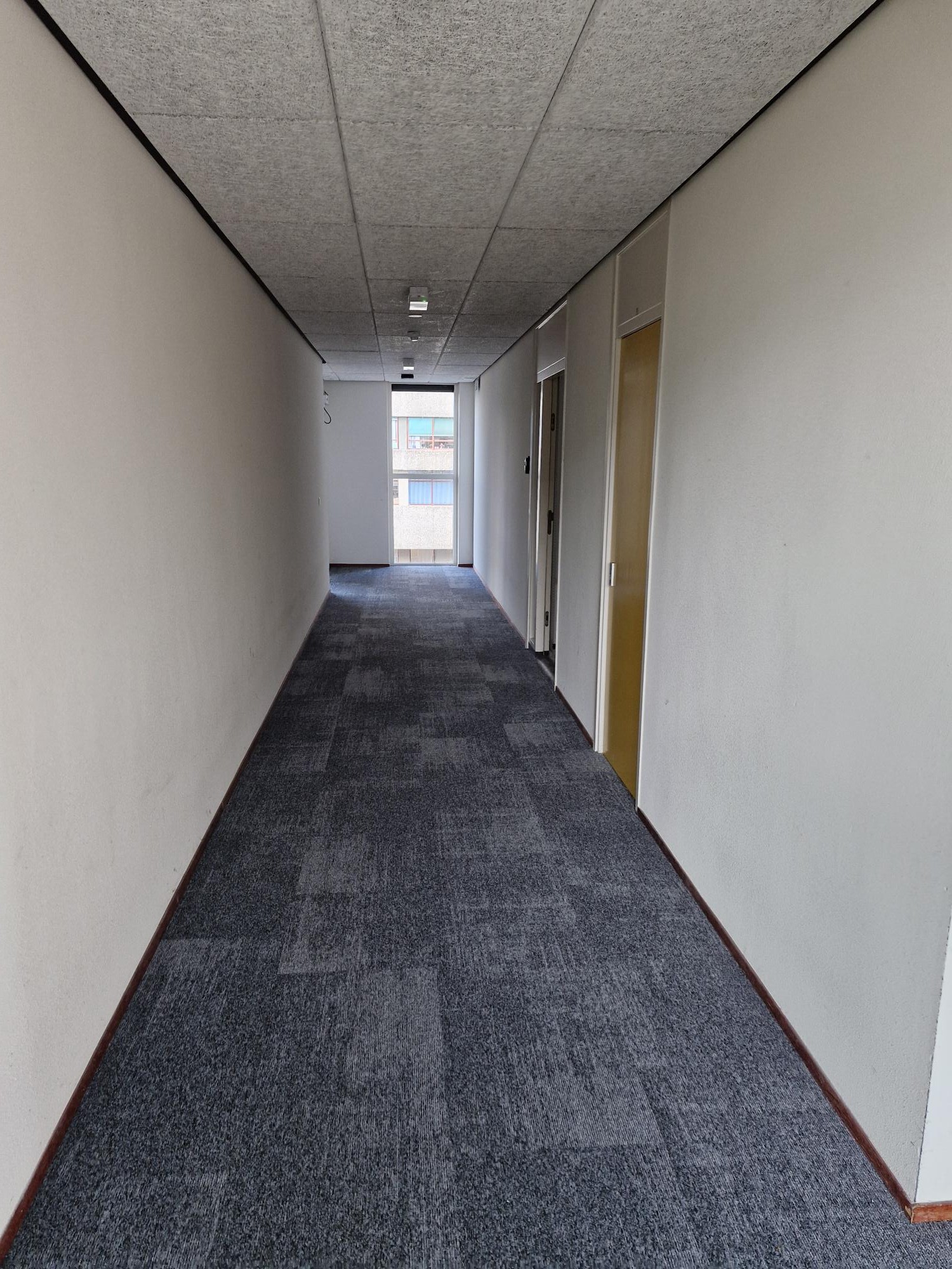 Aaltje Noordewierlaan 138