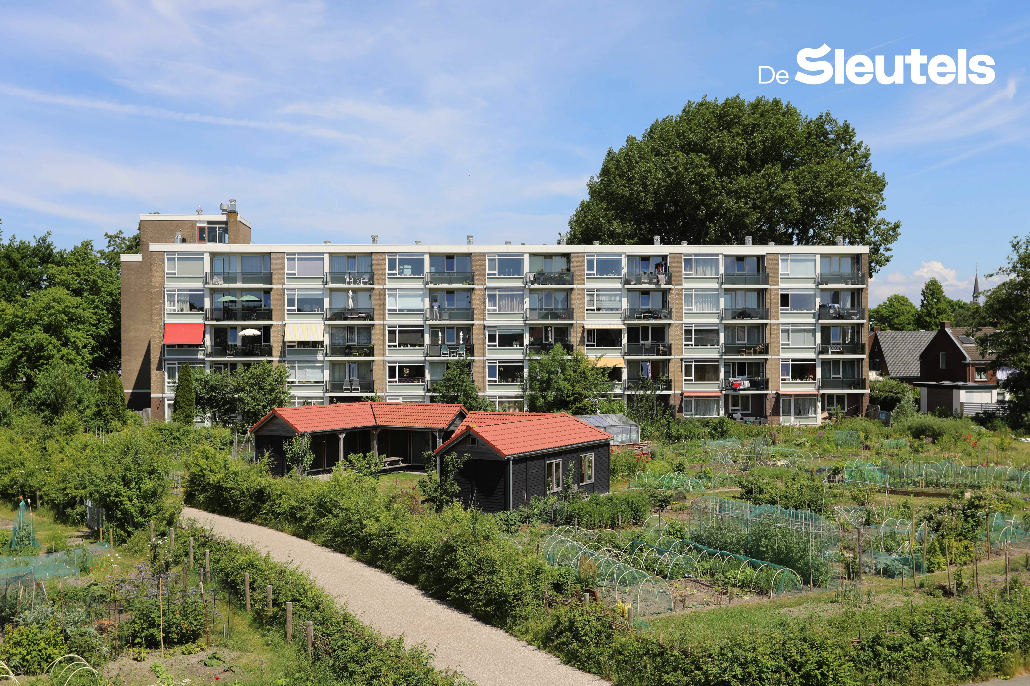 Castellumweg 16, 2314 VC Leiden, Nederland