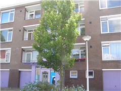 P. Den Oudenstraat 46, 2771 HR Boskoop, Nederland