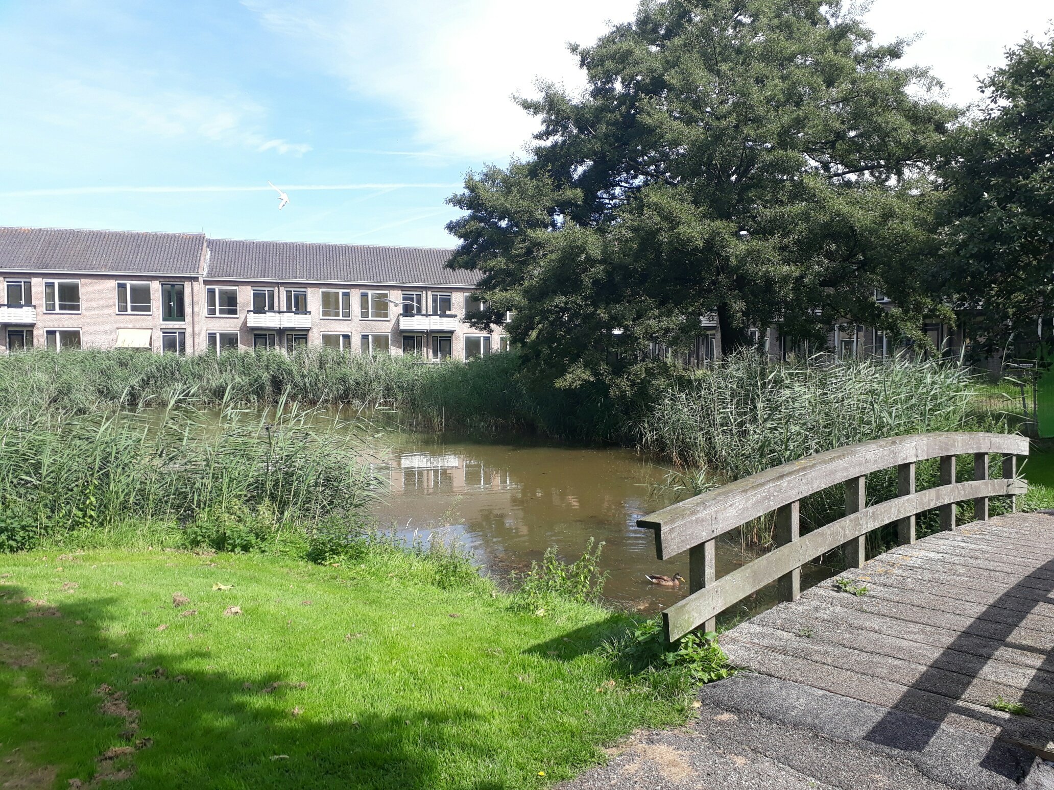 Roodborstlaan 5, 2421 XE Nieuwkoop, Nederland