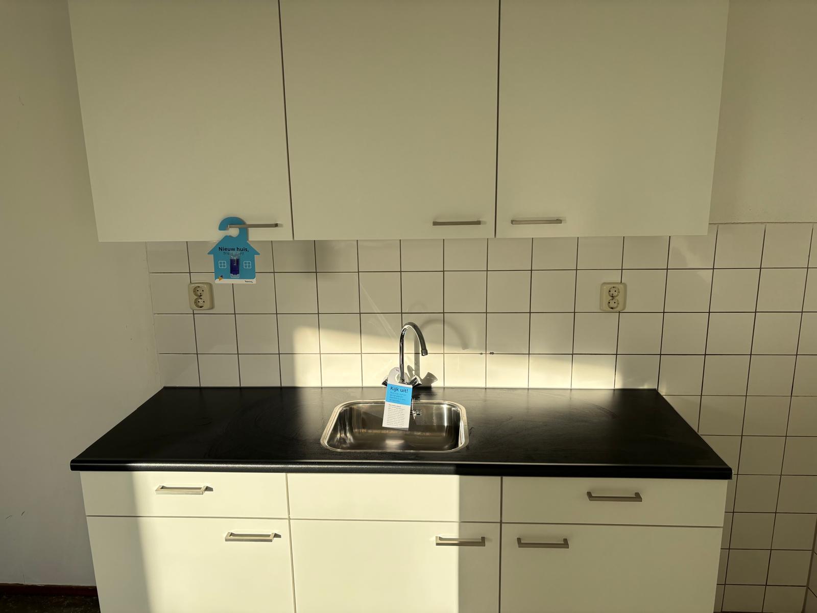 Alexandrine Tinneplein 66