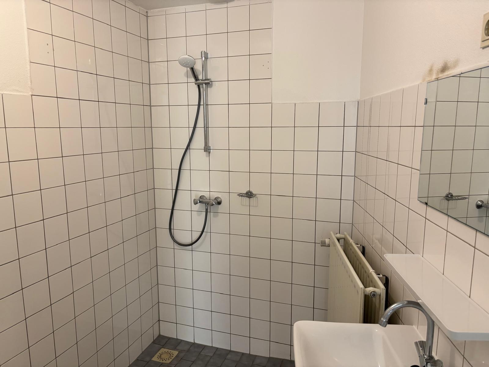 Alexandrine Tinneplein 66