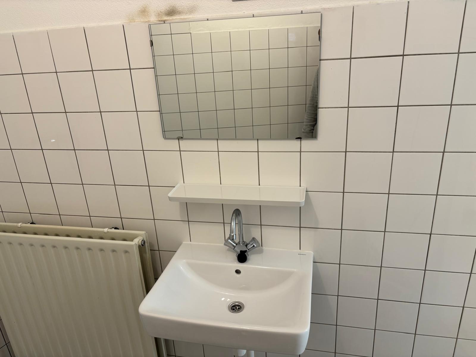 Alexandrine Tinneplein 66