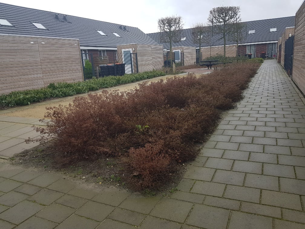 Van Wassenaerstraat 96g