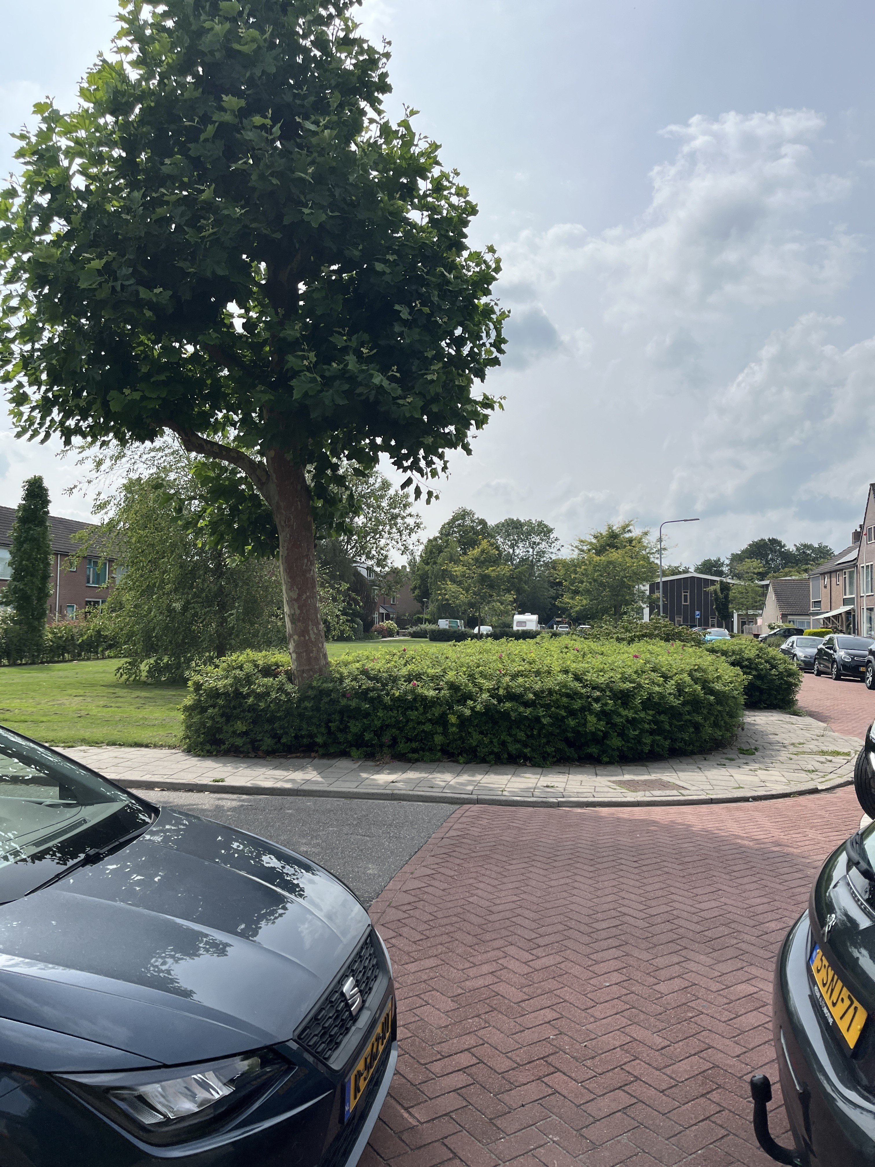 Hertog Albrechtstraat 34