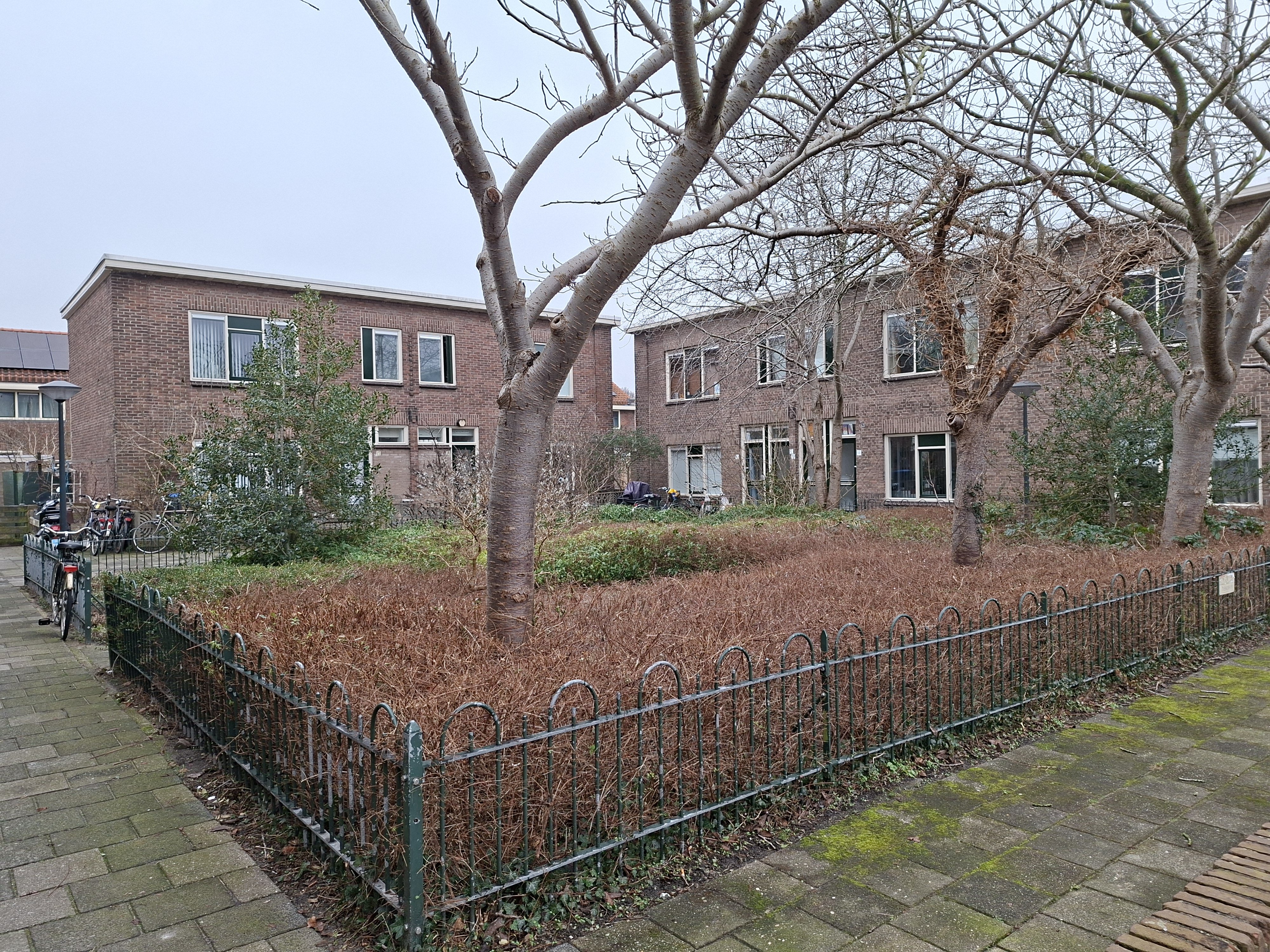 Pioenhof 14, 2313 DD Leiden, Nederland