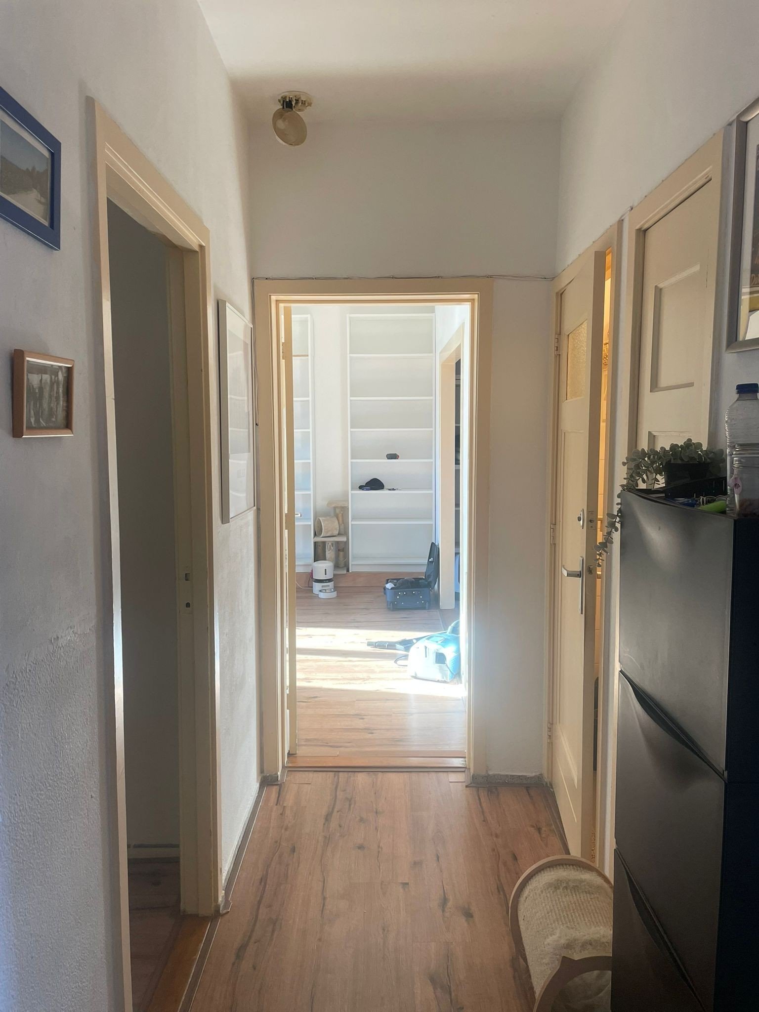 Melchior Treublaan 67