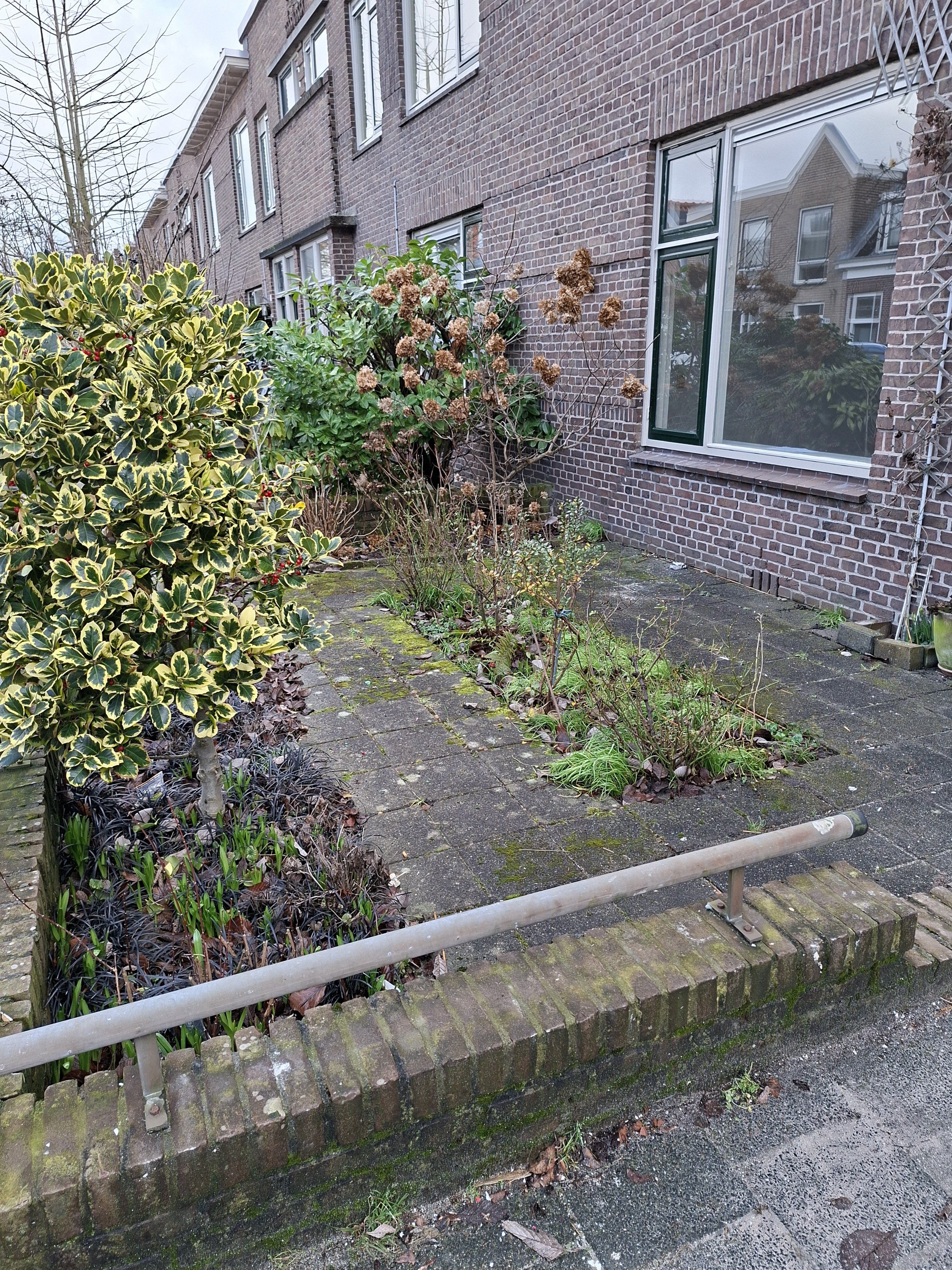 Leliestraat 11, 2313 BC Leiden, Nederland