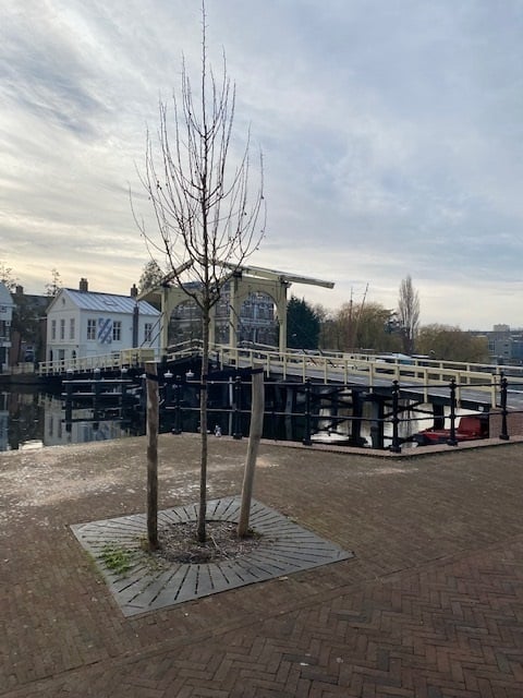 1e Binnenvestgracht 49