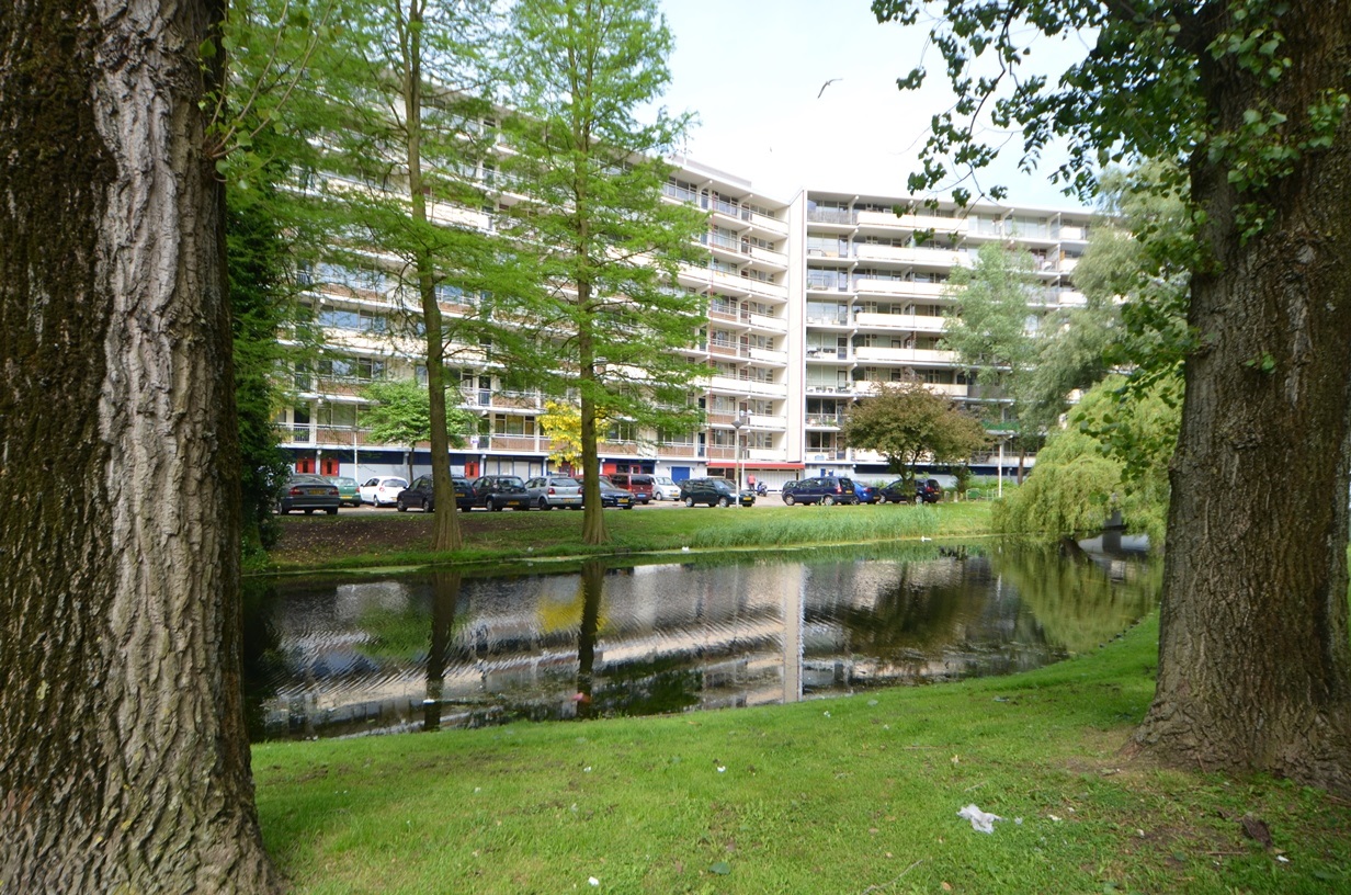 Arendshorst 160, 2317 CT Leiden, Nederland