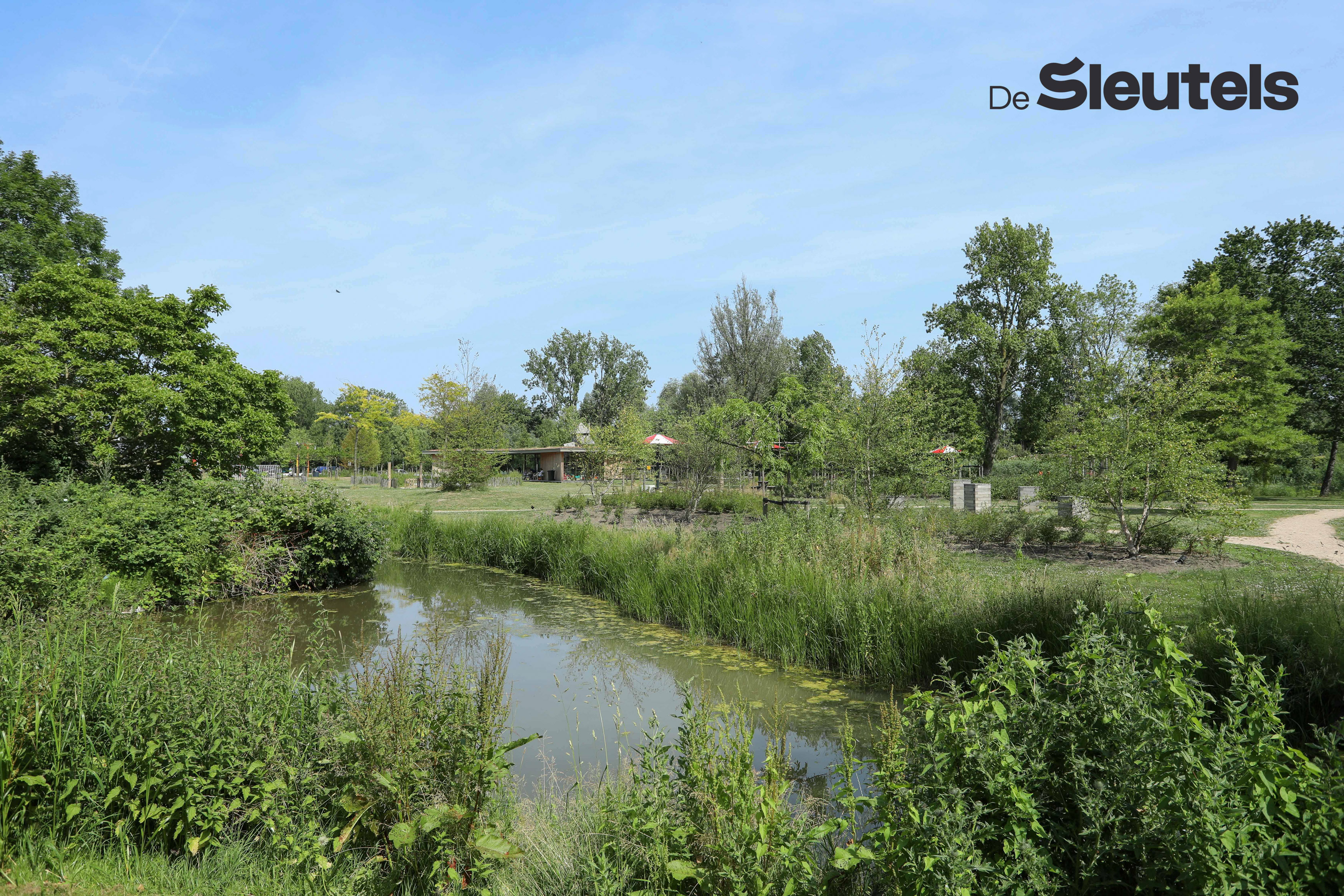 Anna van Burenhof 19