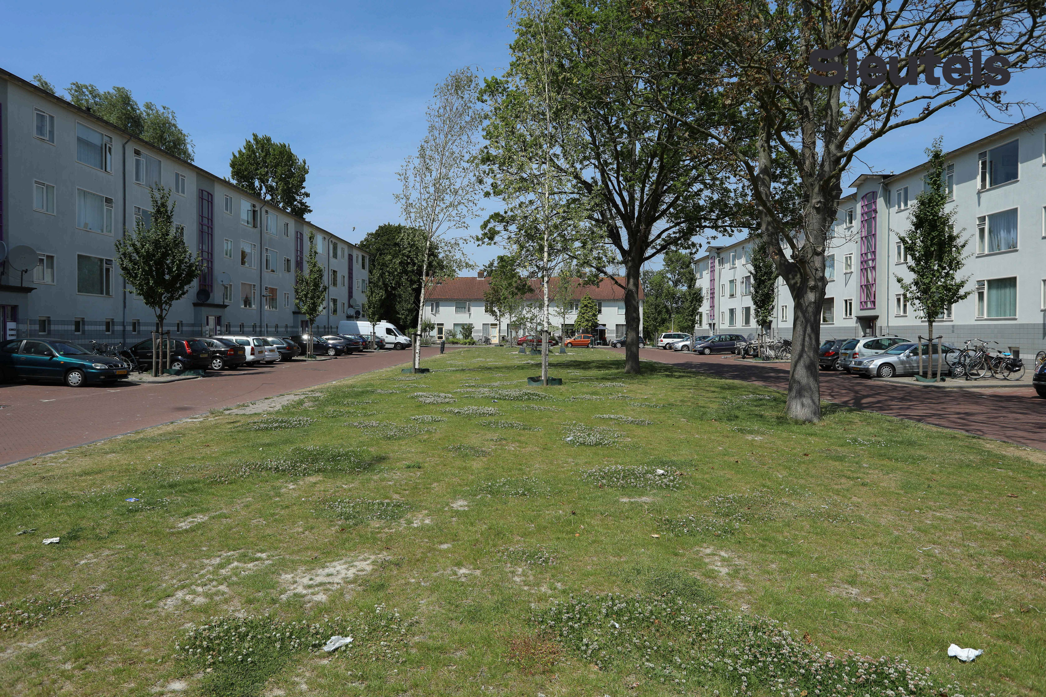 Anna van Burenhof 19