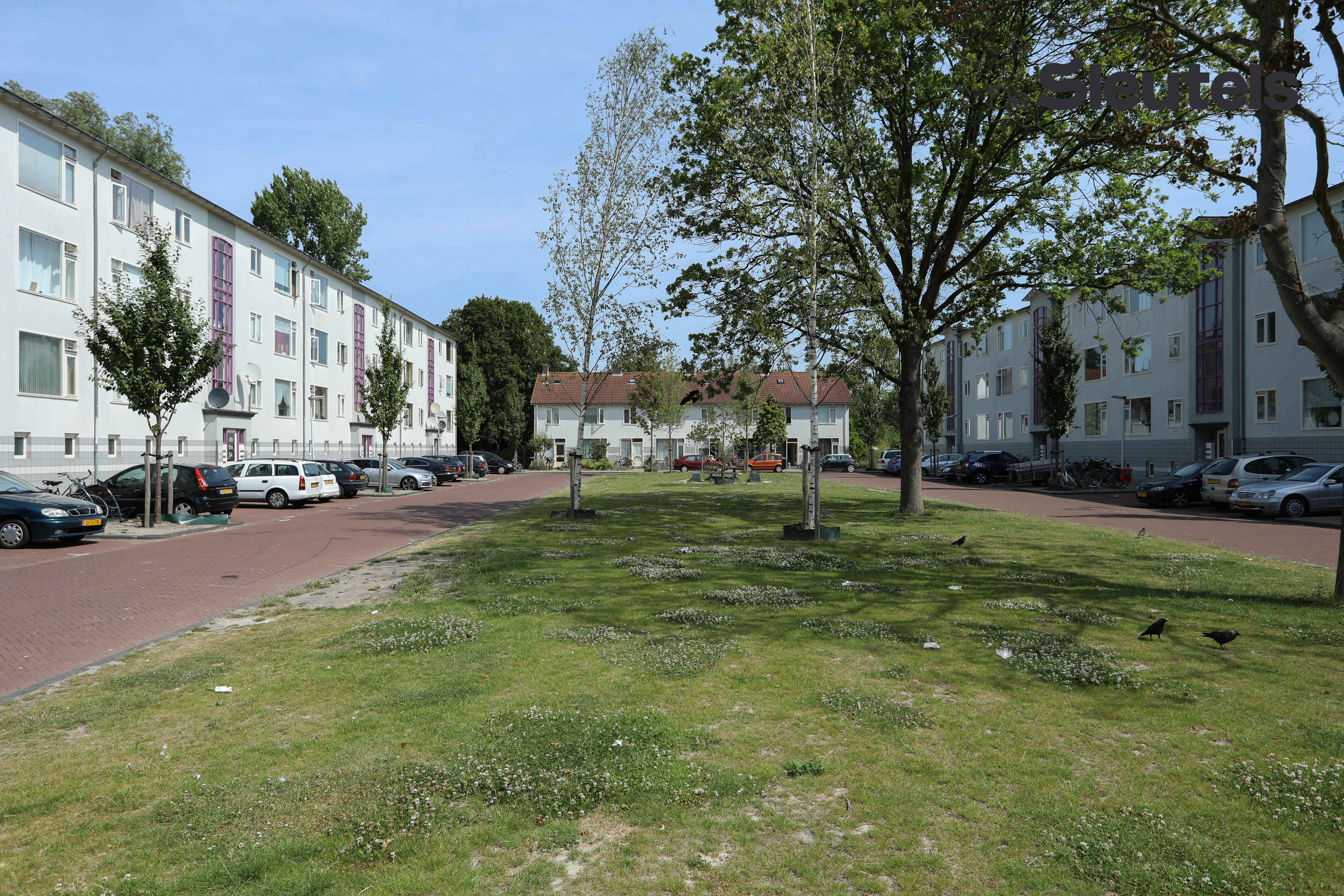 Anna van Burenhof 22