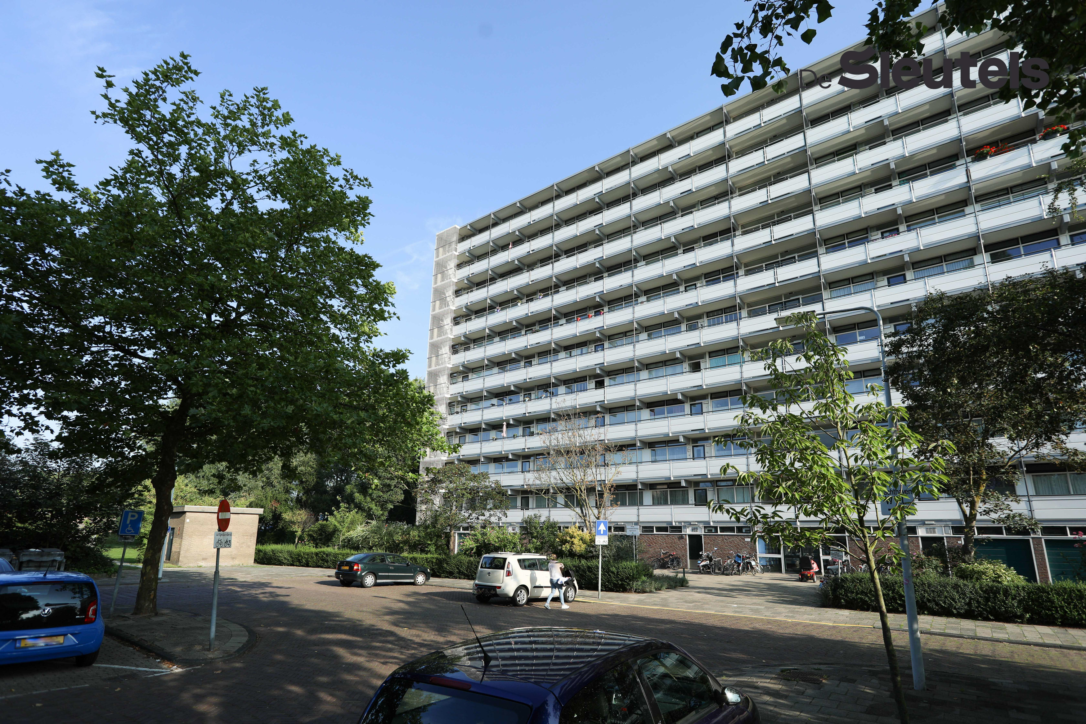 Paramaribohof 26, 2315 VW Leiden, Nederland