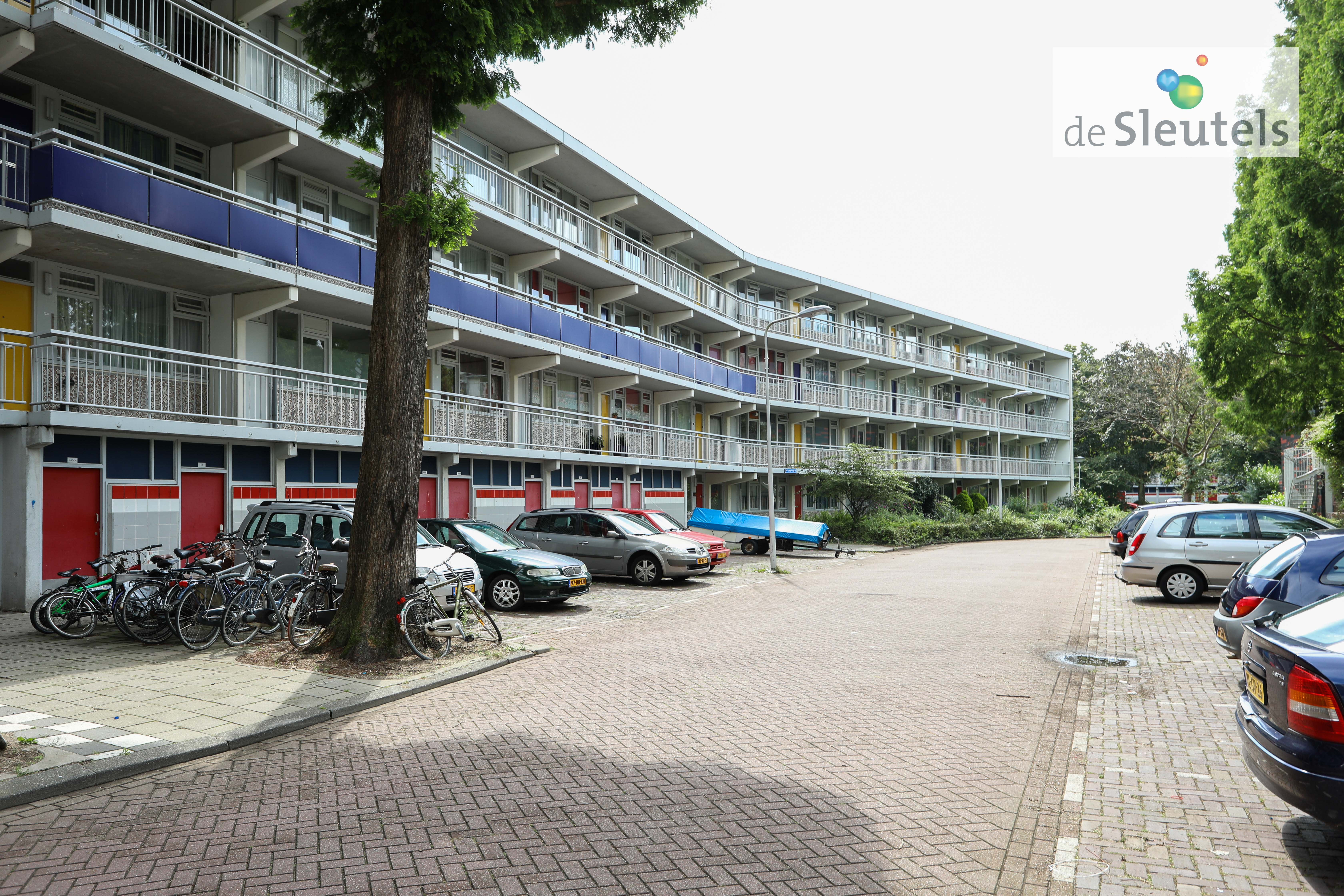 Milanenhorst 53, 2317 CH Leiden, Nederland