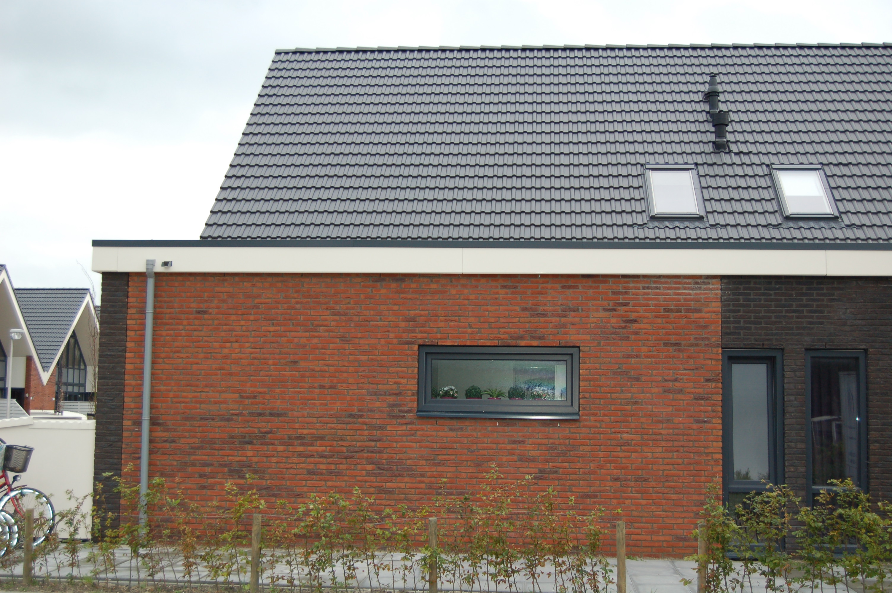 Patrijs 47