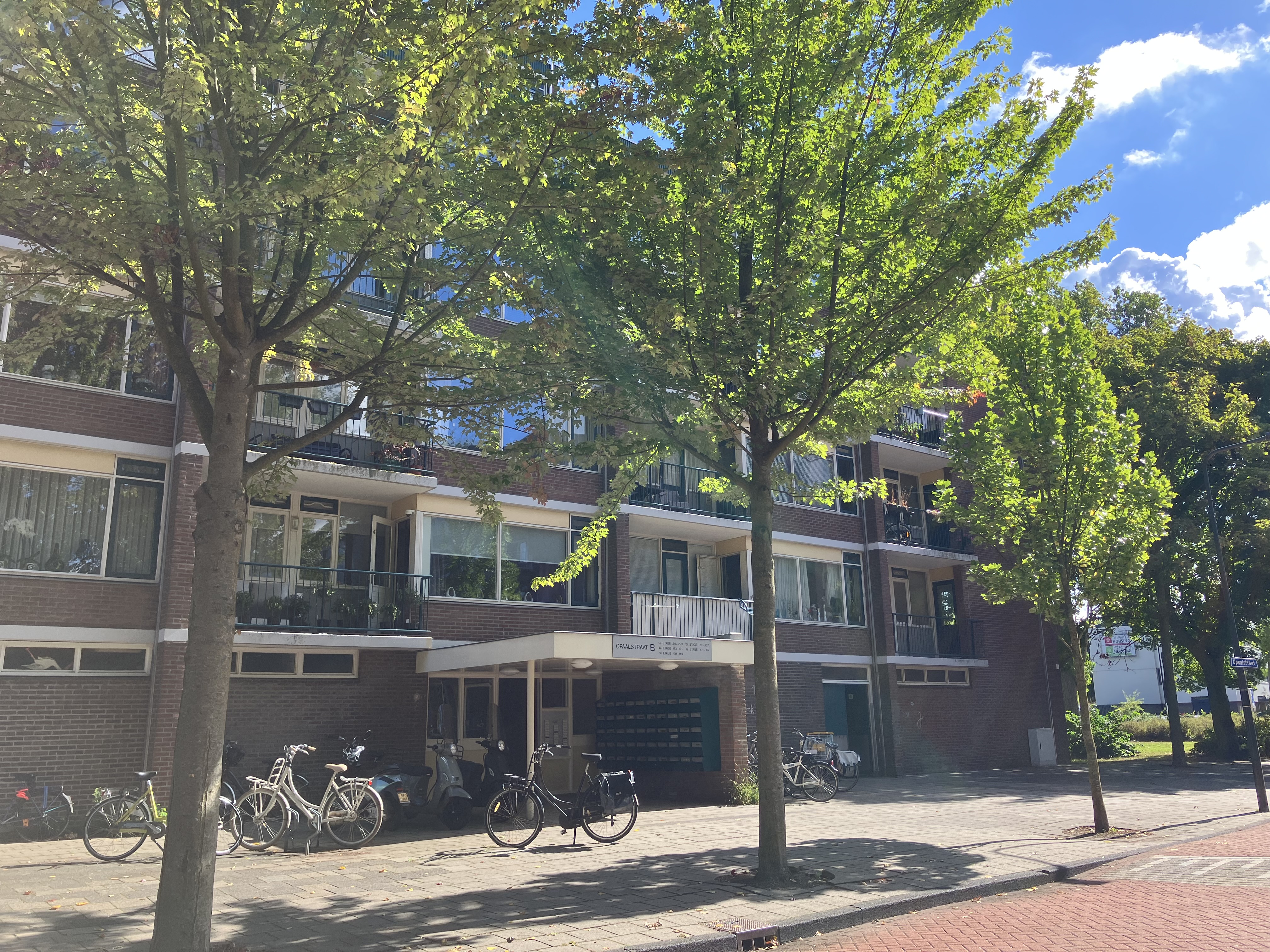 Opaalstraat 221, 2332 TA Leiden, Nederland