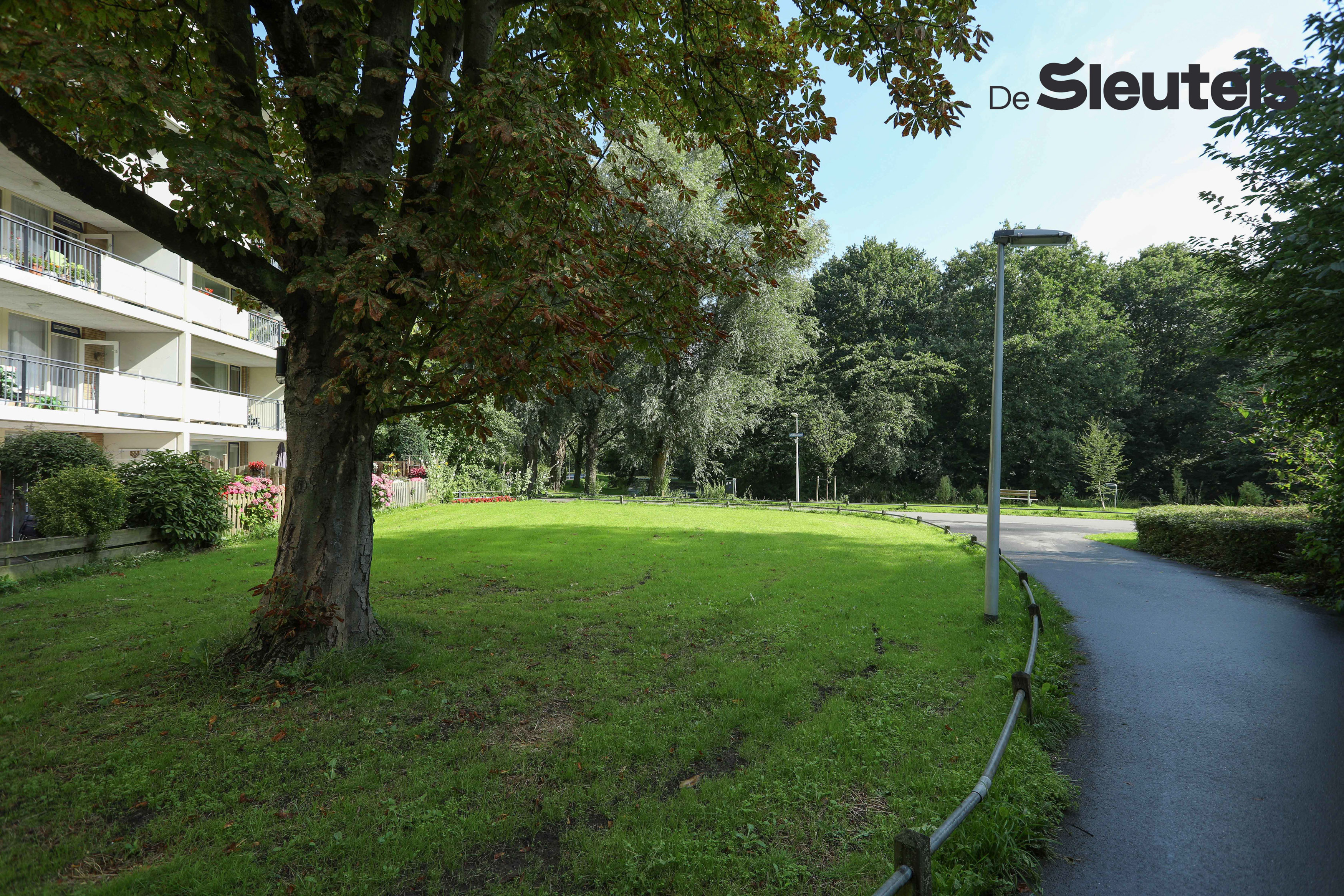 Stellingmolen 58