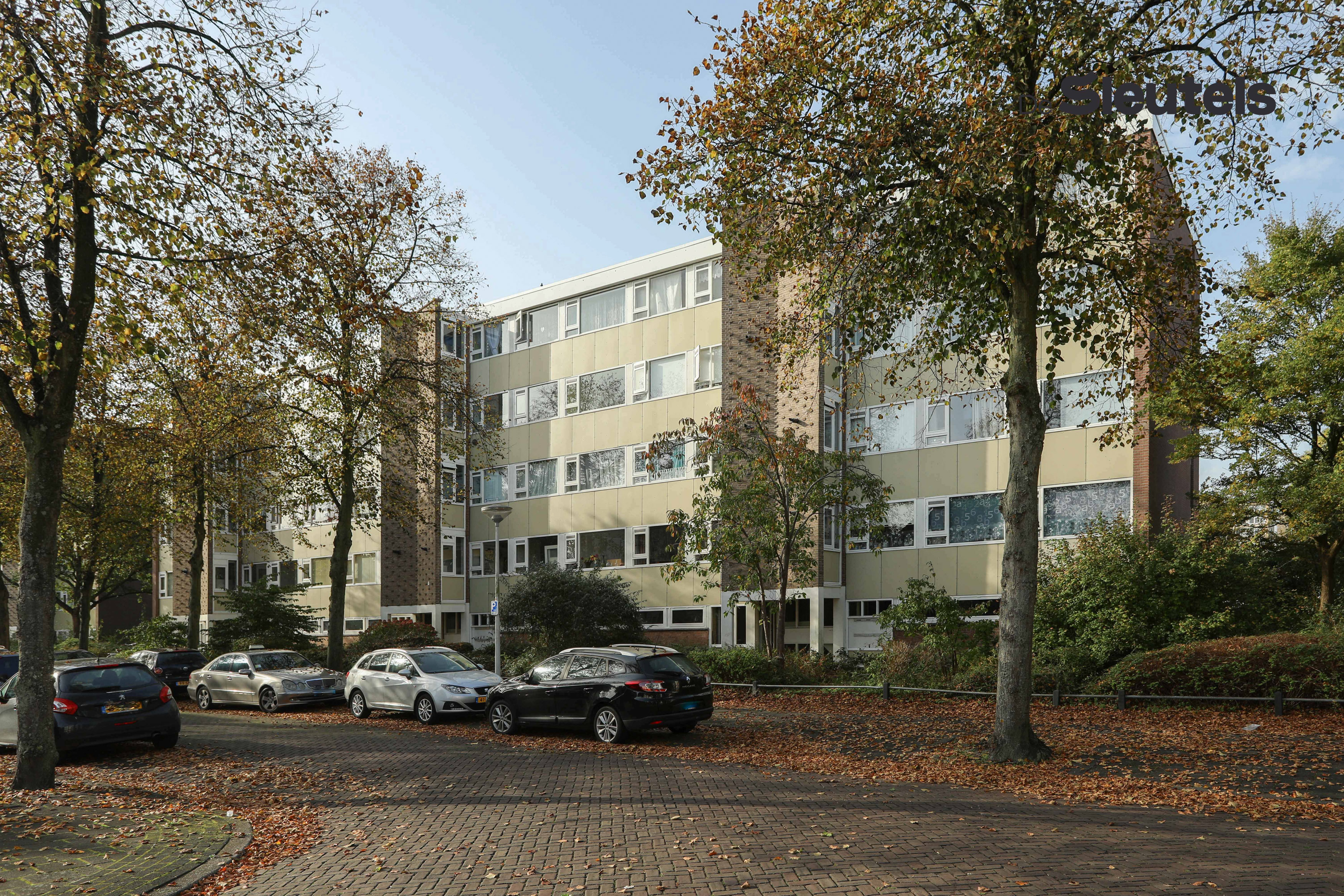 Van 's-Gravensandestraat 57