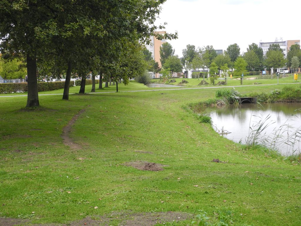 Evenaar 272