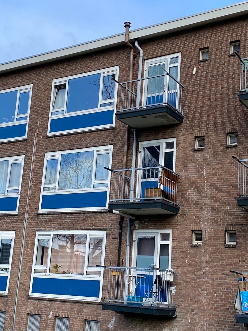 Akkerhof 53