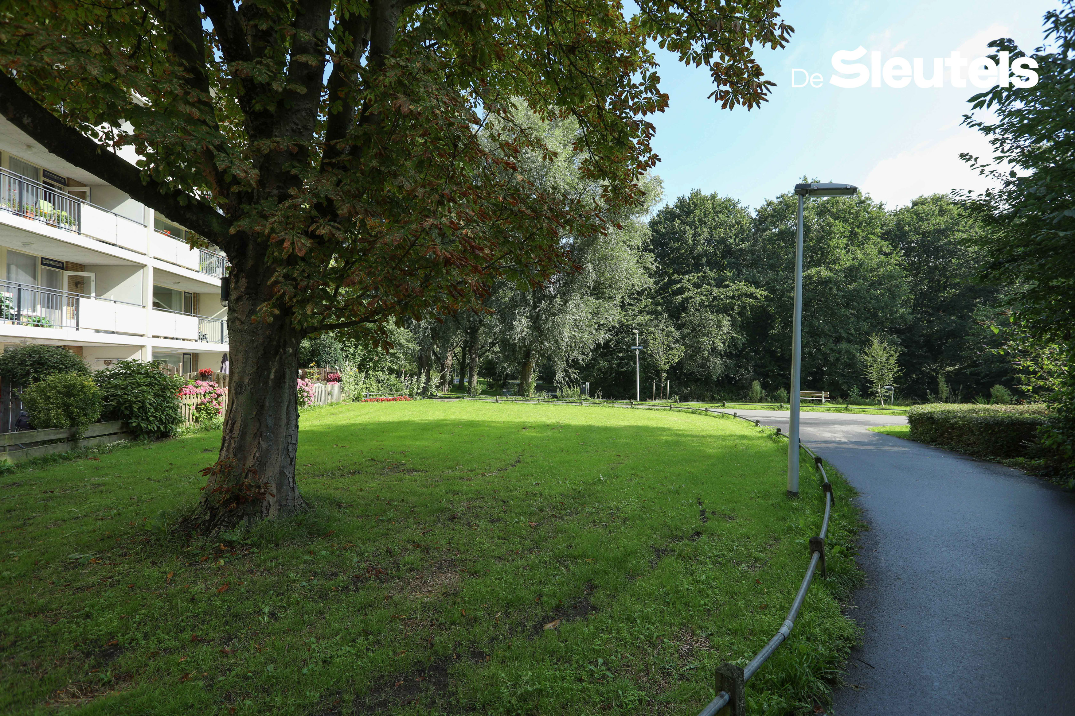 Stellingmolen 23