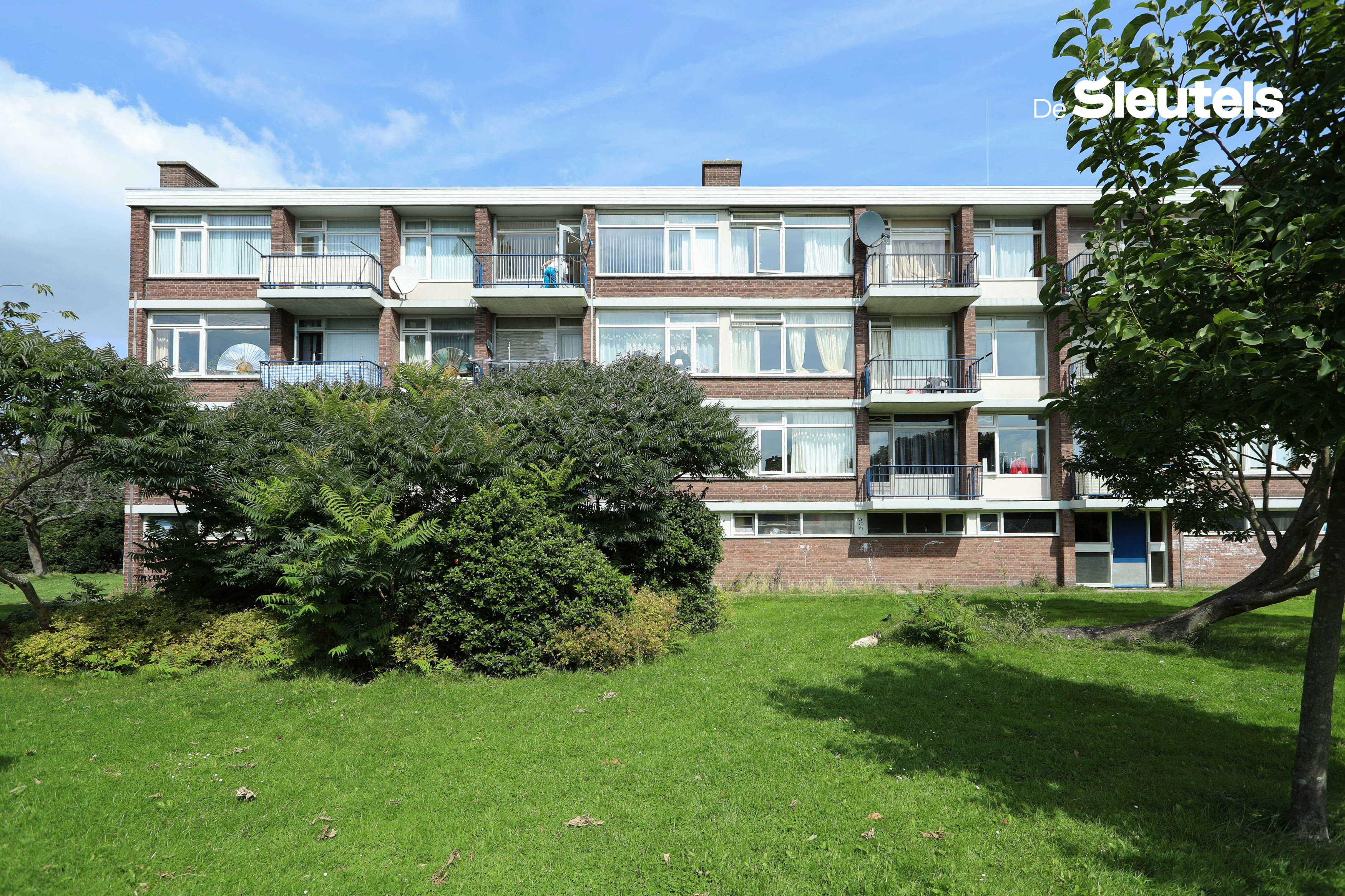 Verdistraat 24
