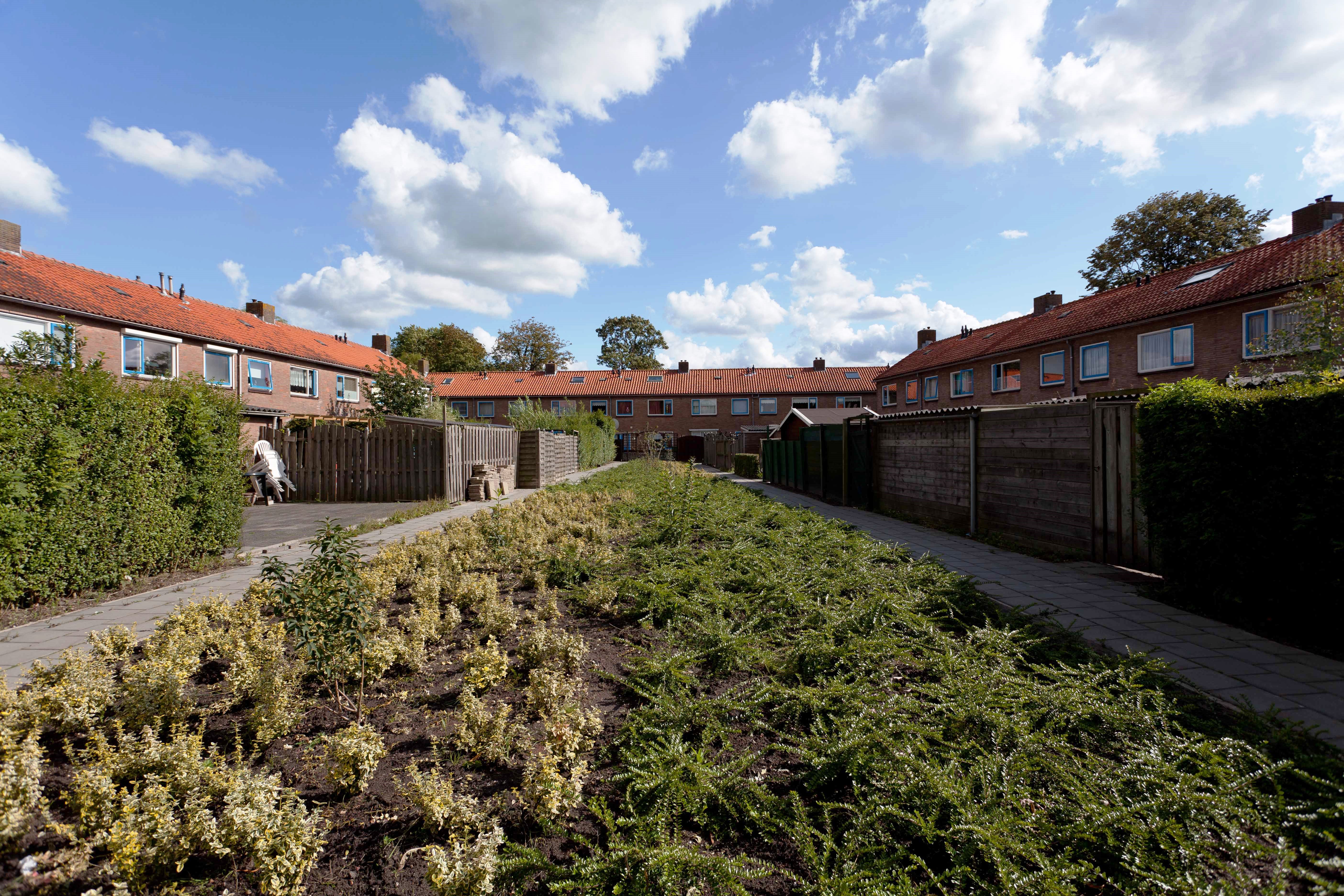 Vinkebuurt 9